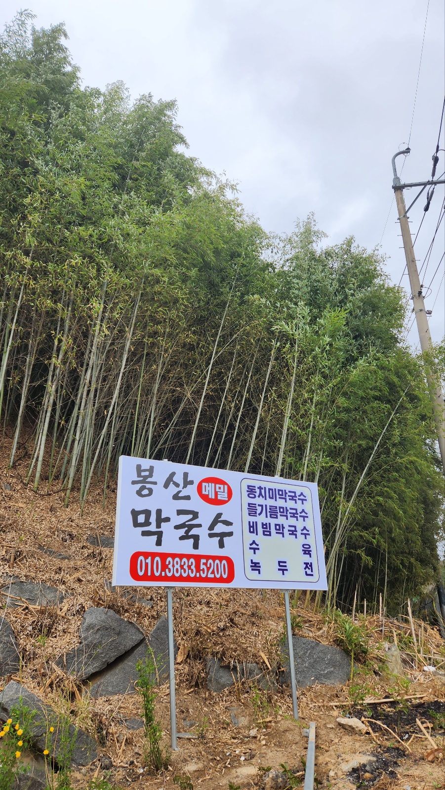 Bongsanmemilmakguksu (봉산메밀막국수) 2