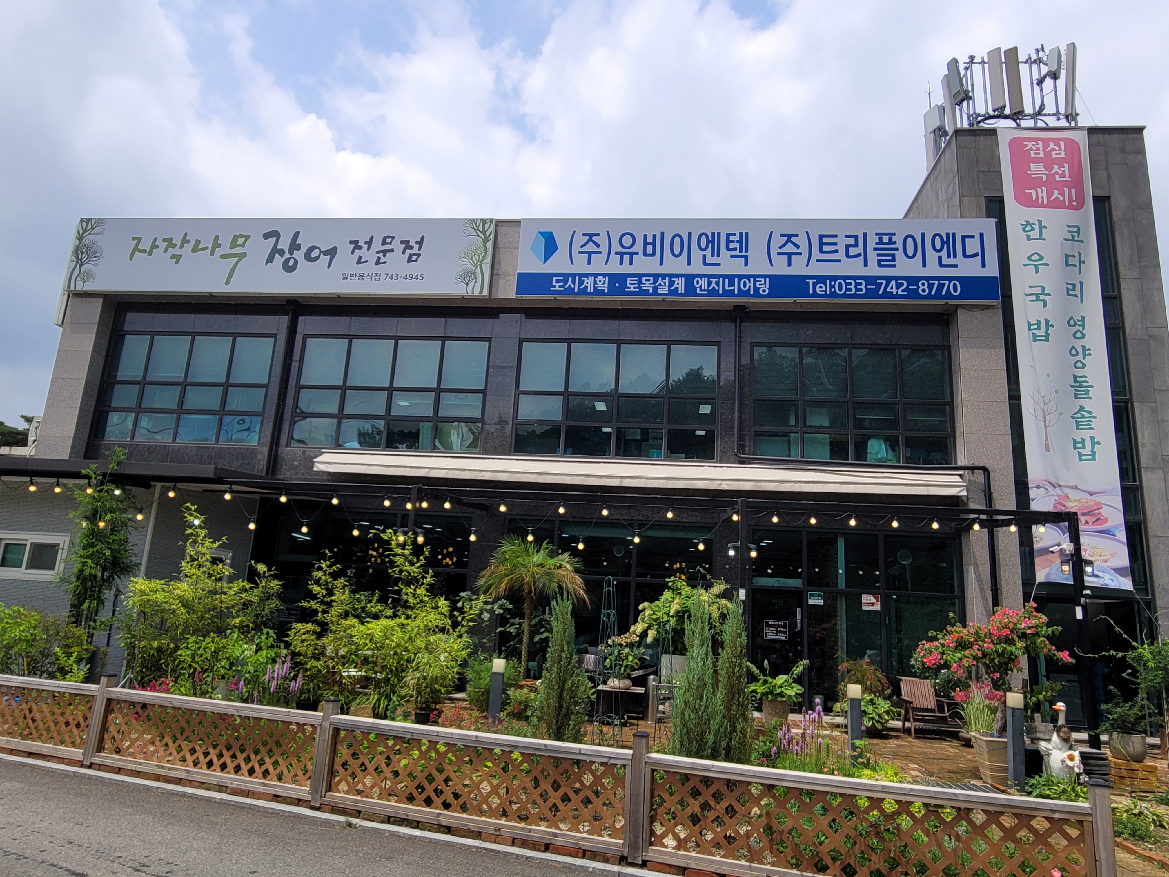 Jajaknamujangeo (자작나무장어) 3