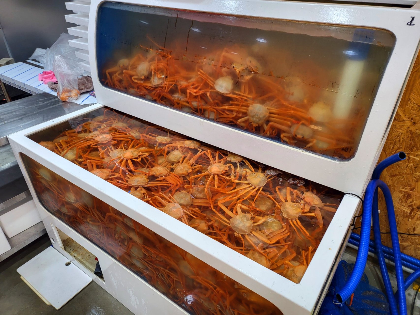 게창고 사진 5