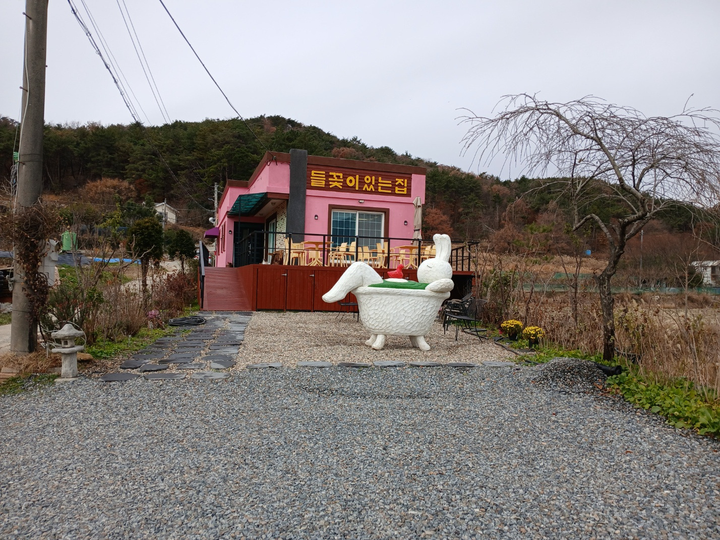 들꽃이있는집 사진 4