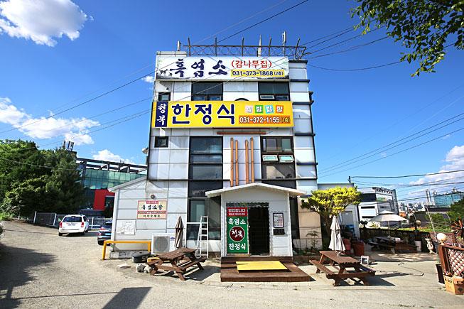 청목 3
