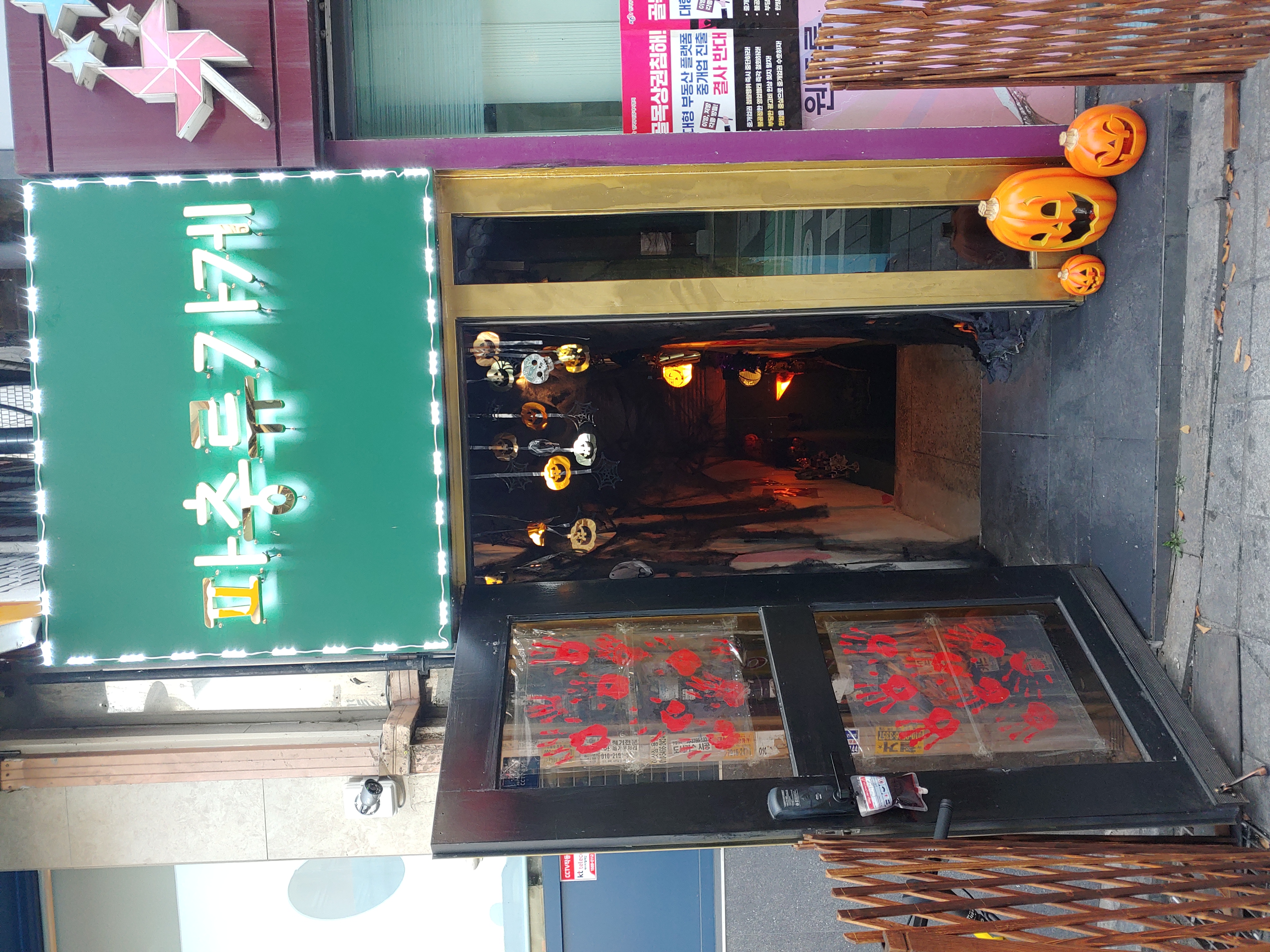 파충류가게 사진 2