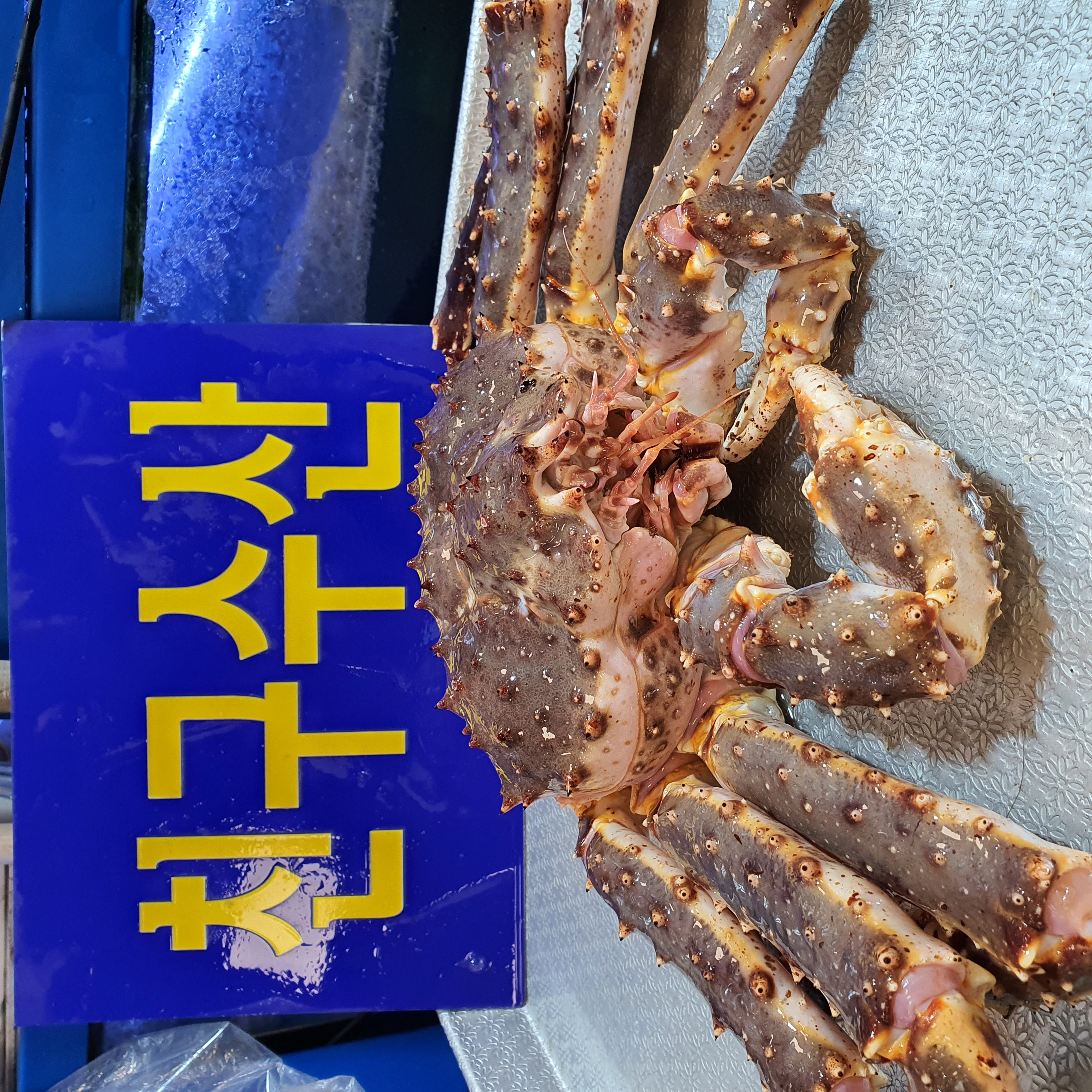 친구수산 사진 5