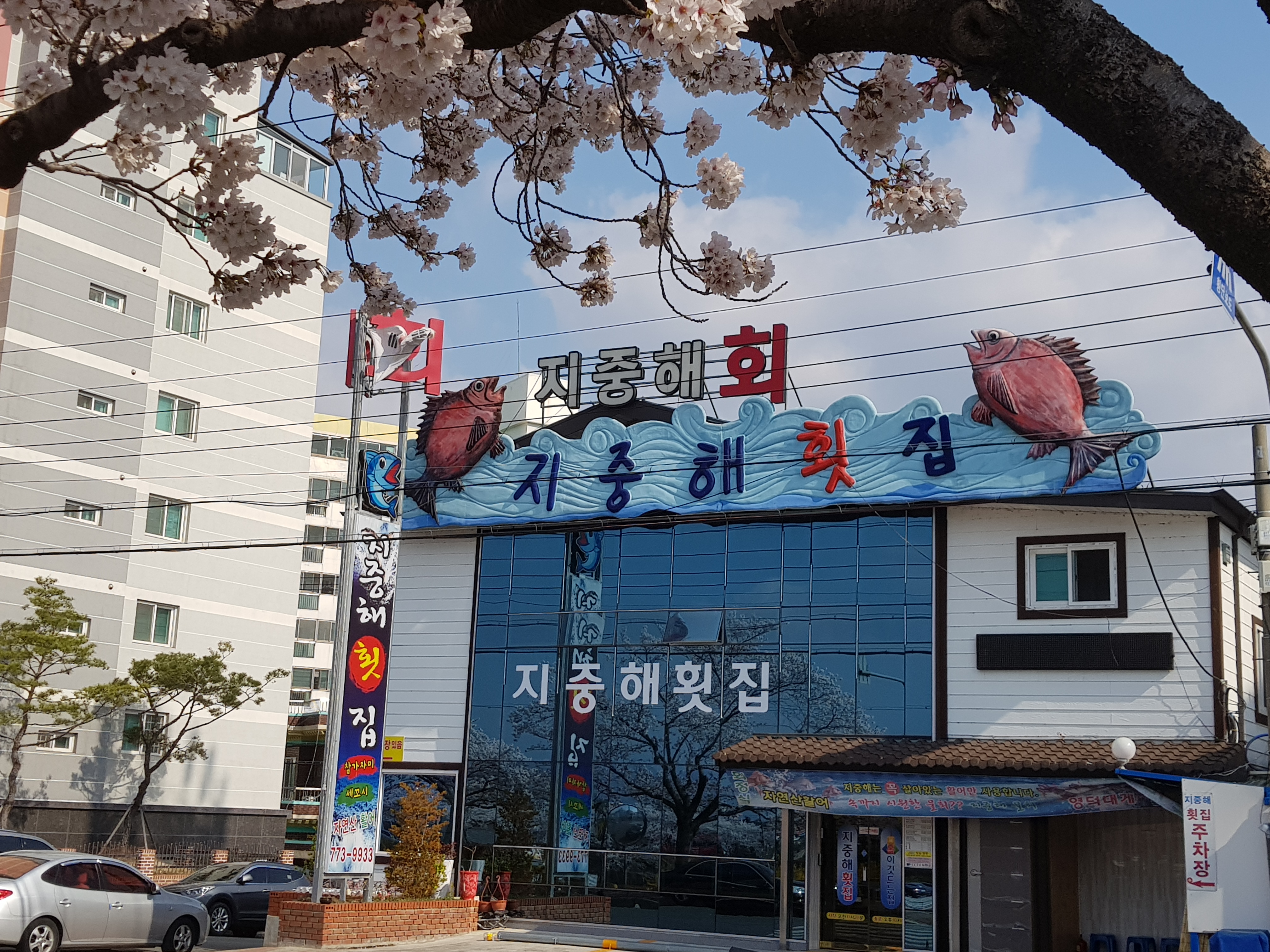 지중해횟집 1