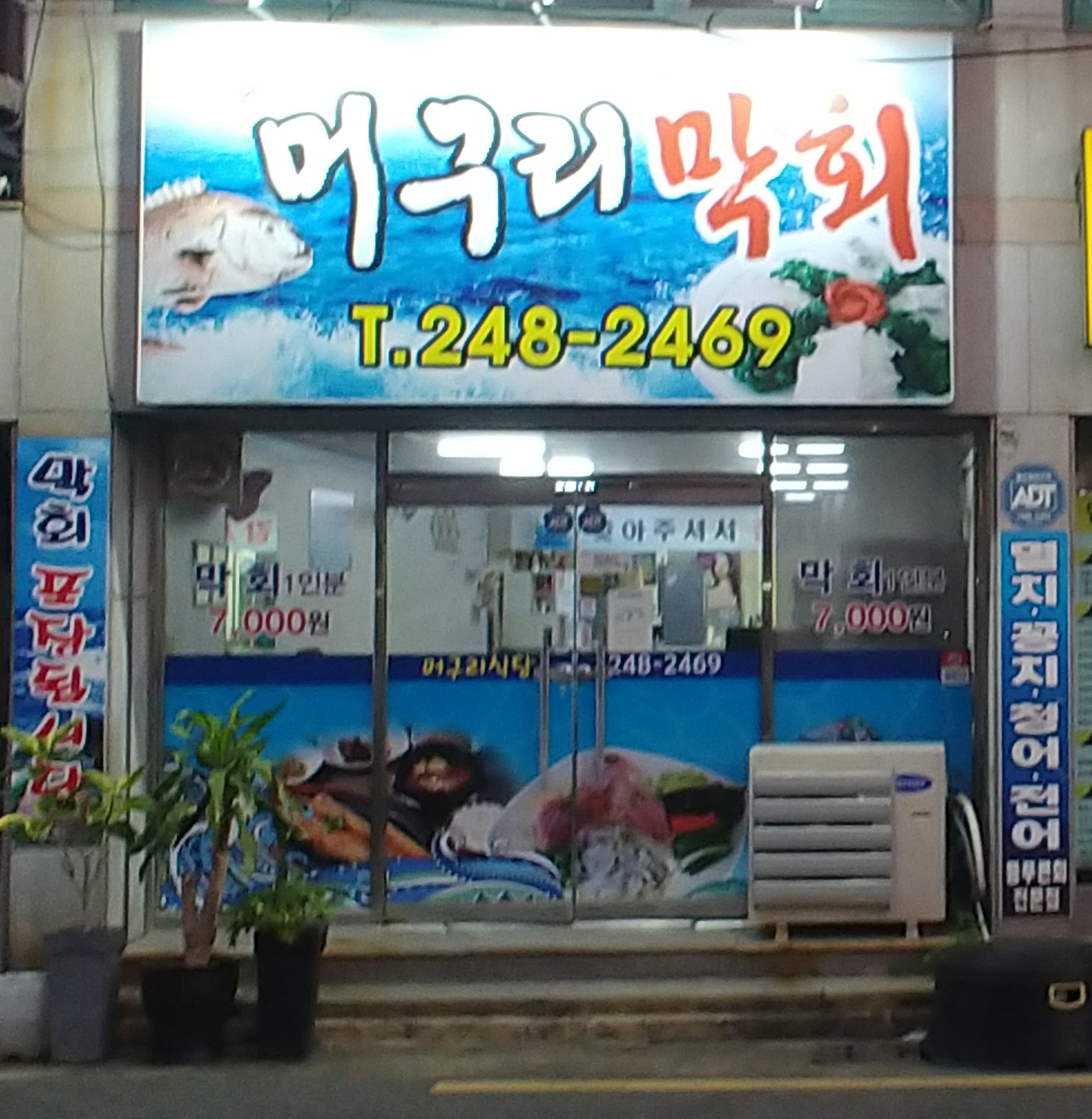 머구리막회 5