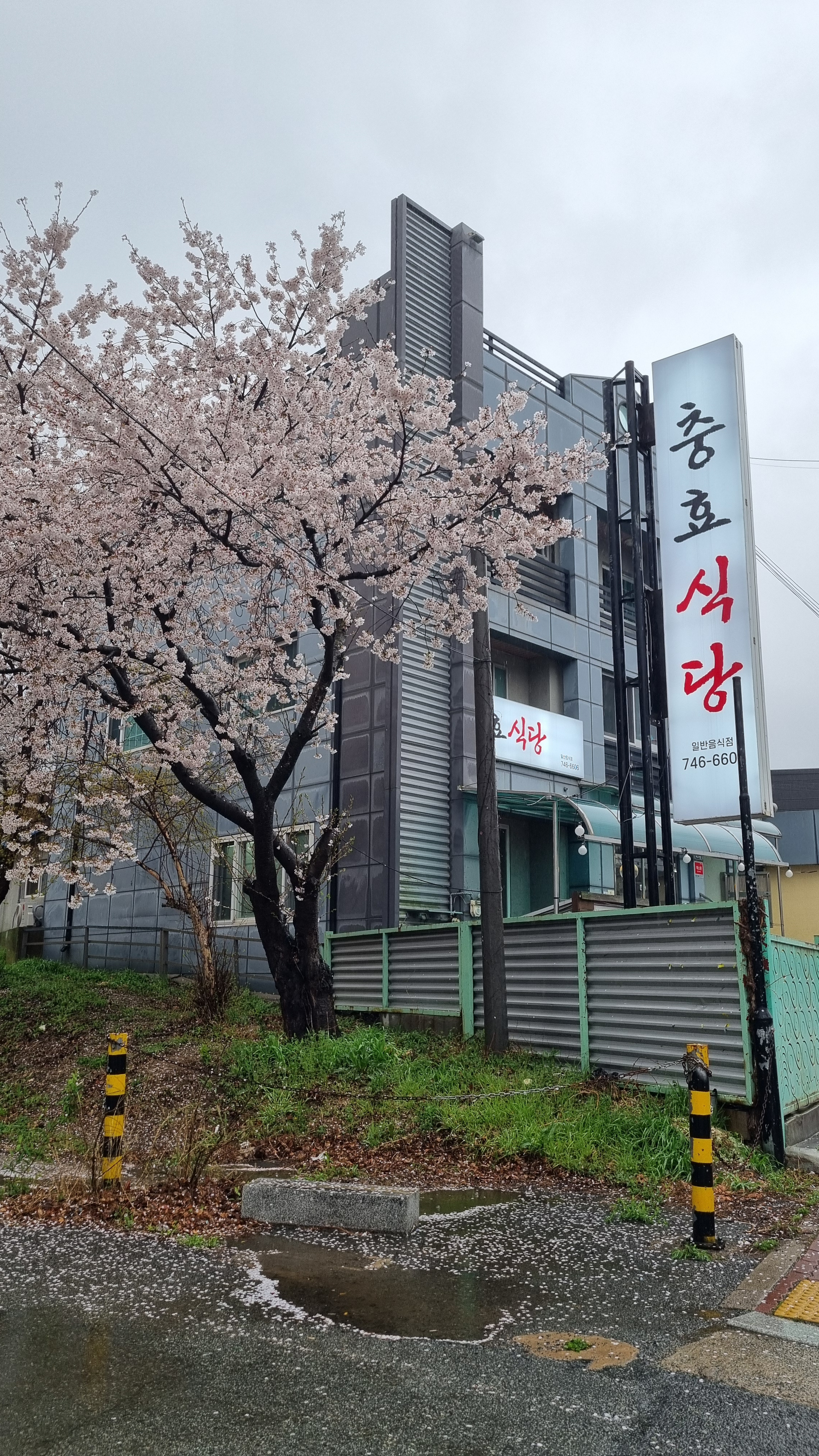 충효식당 대표 사진