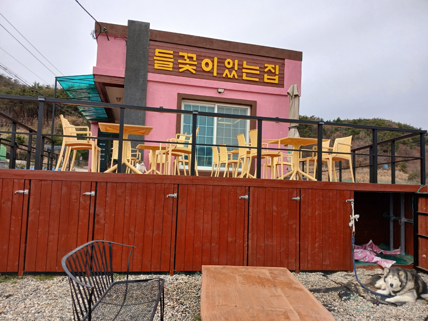 들꽃이있는집 사진 3