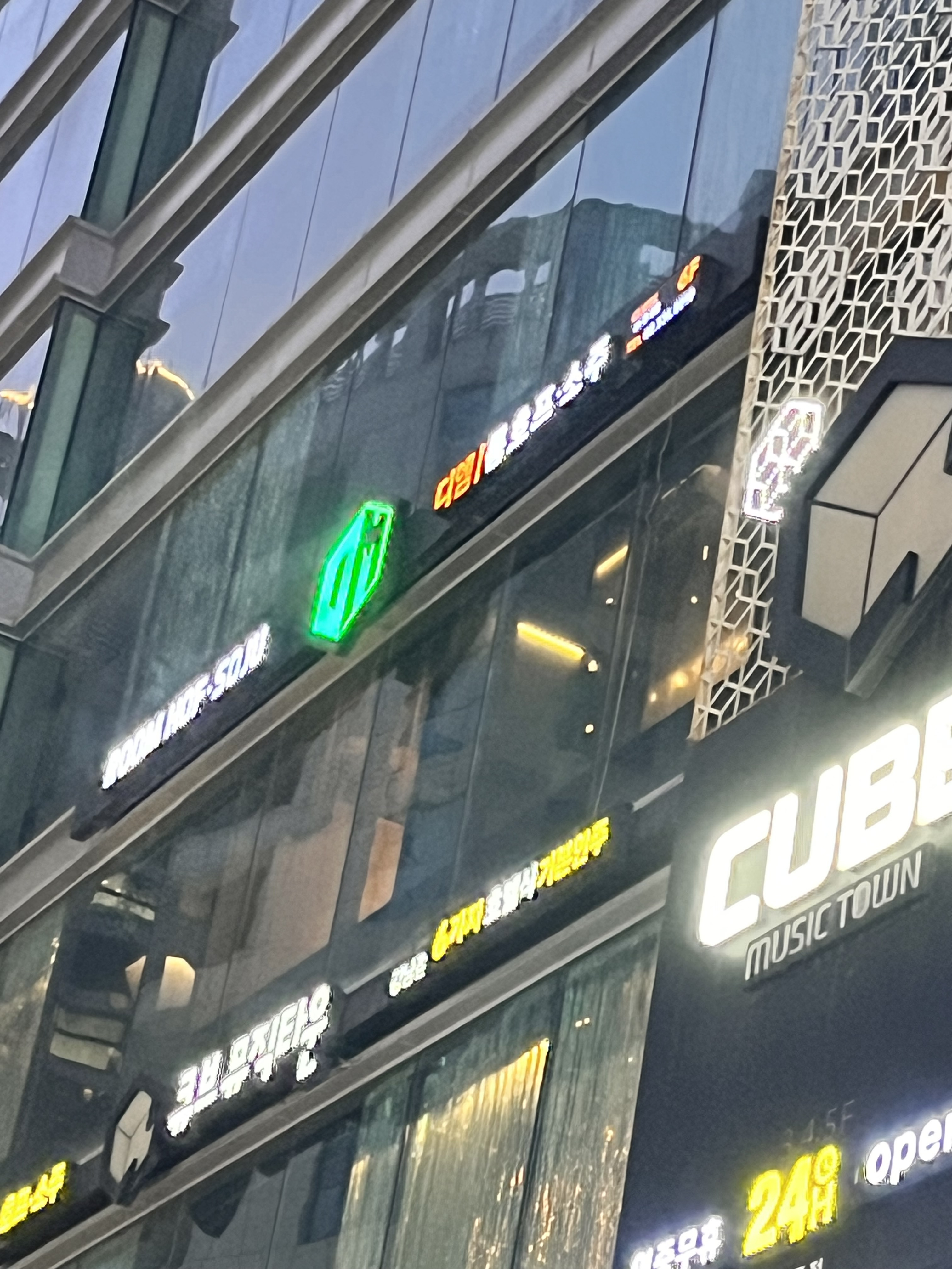디엠 사진 4