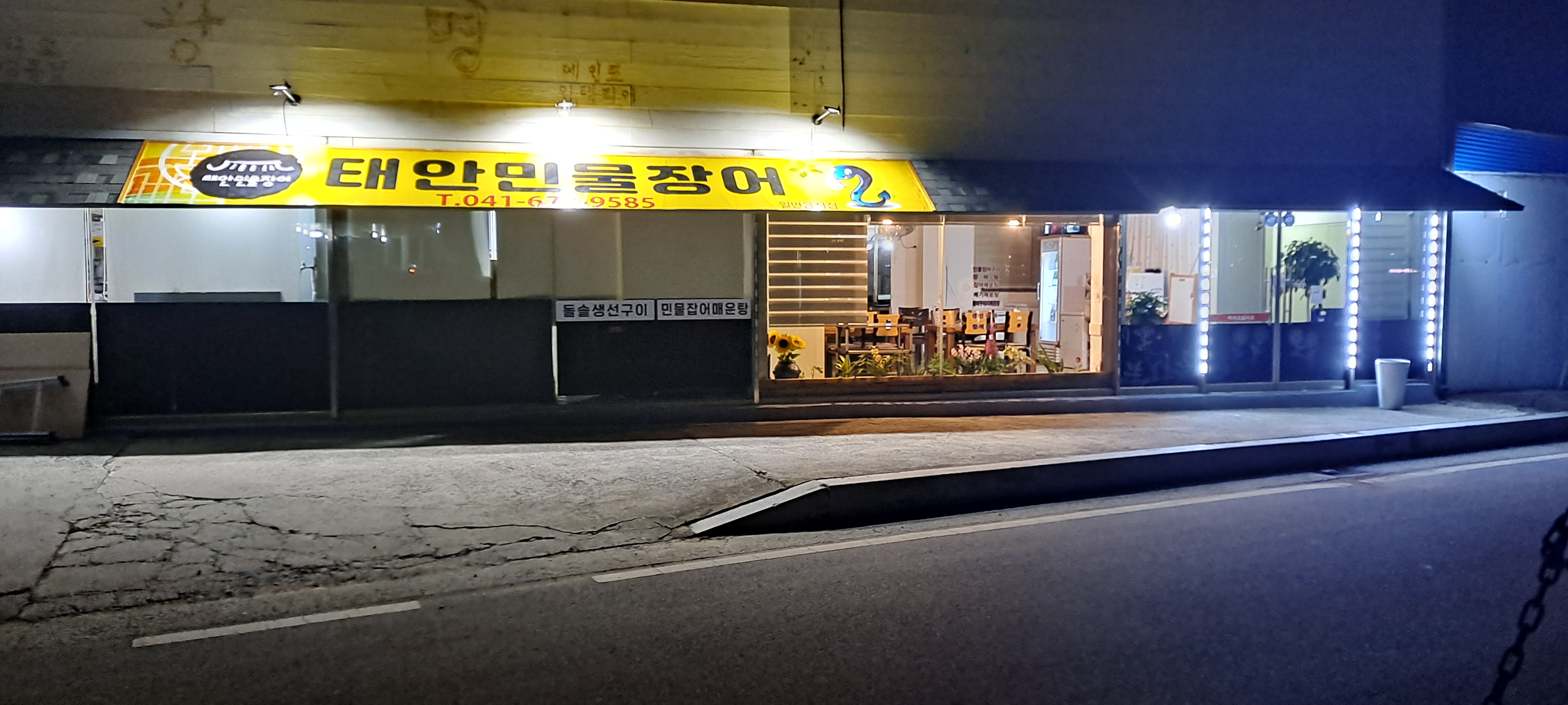 태안민물장어 2