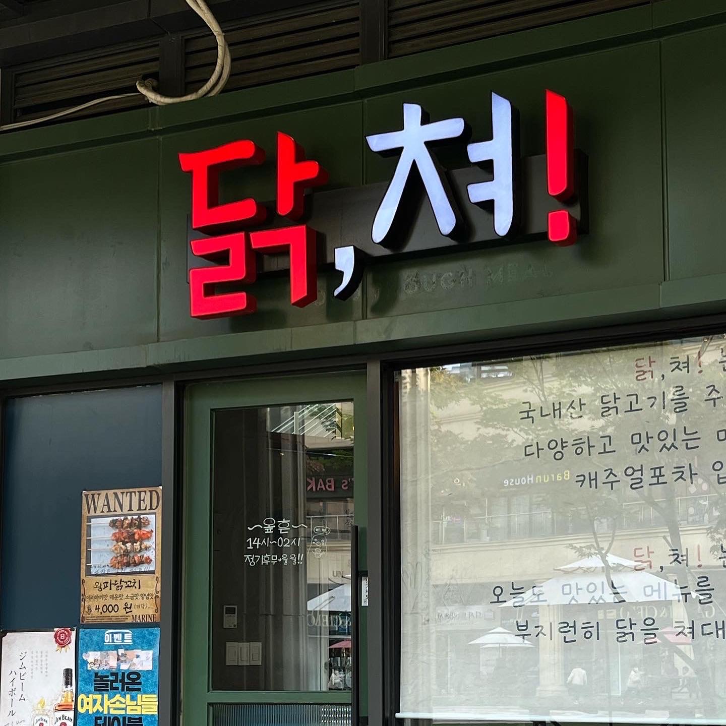 닭쳐 사진 4