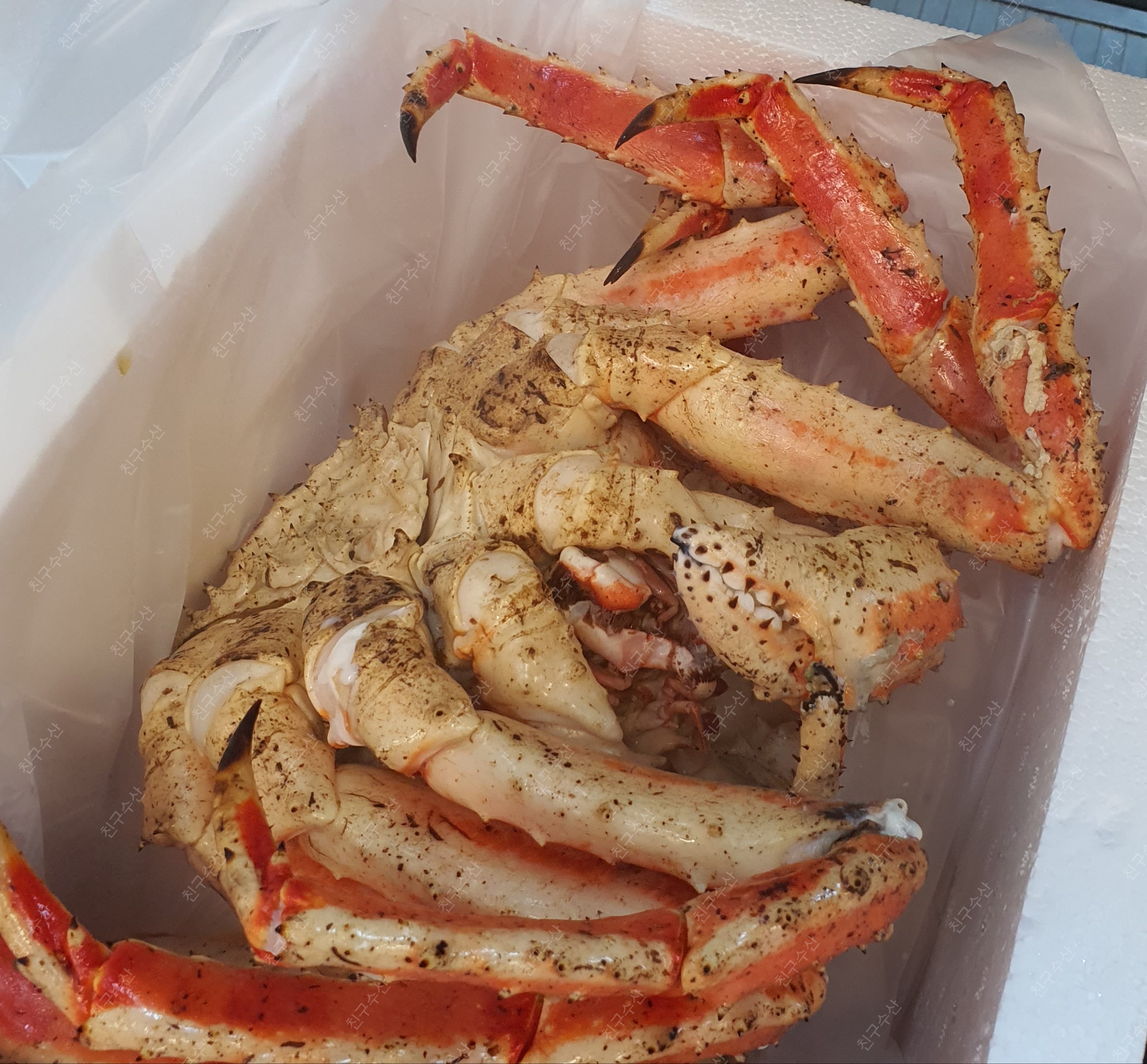 친구수산 사진 6