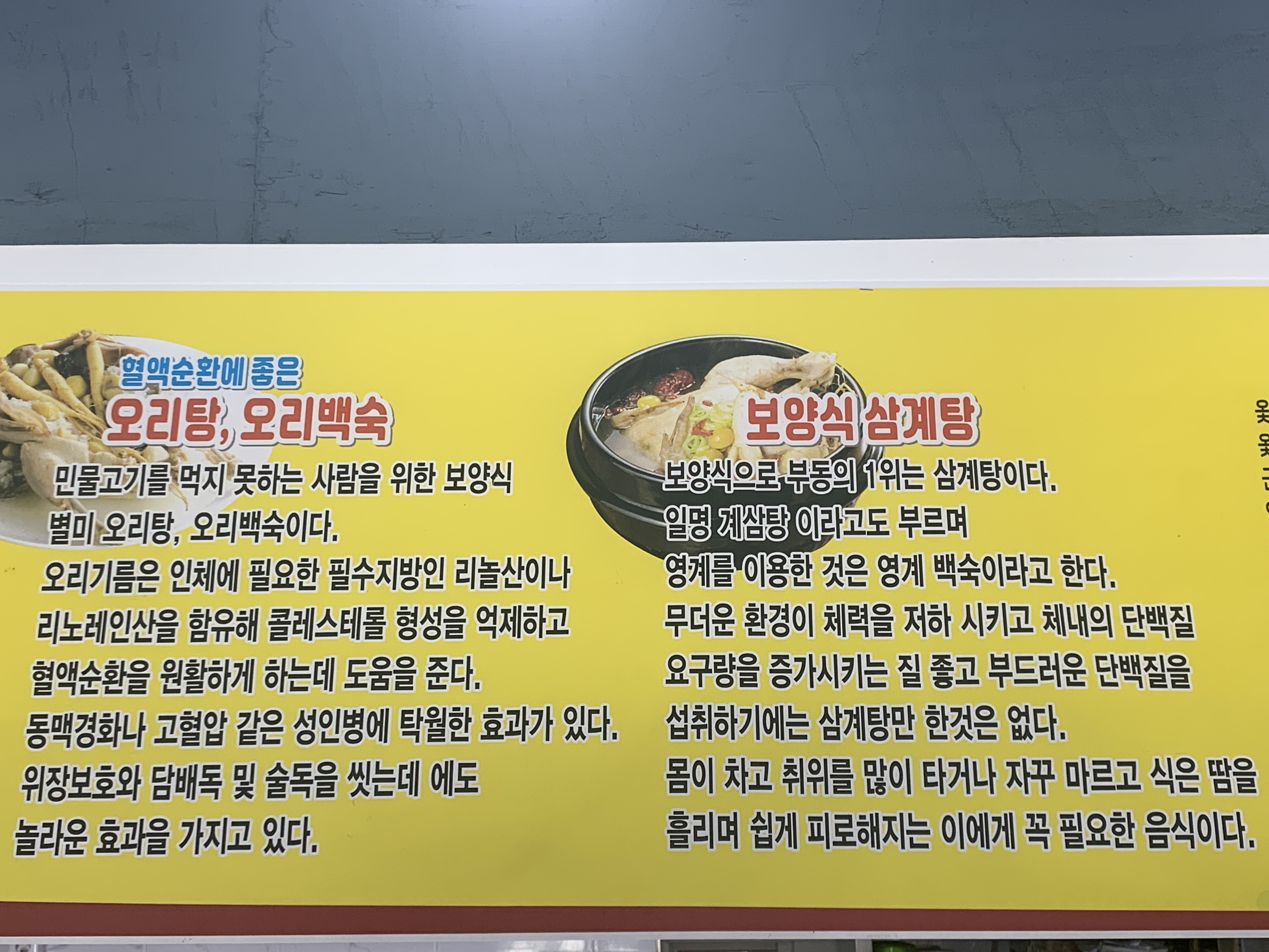 Sanyakjaeori (산약재오리) 1