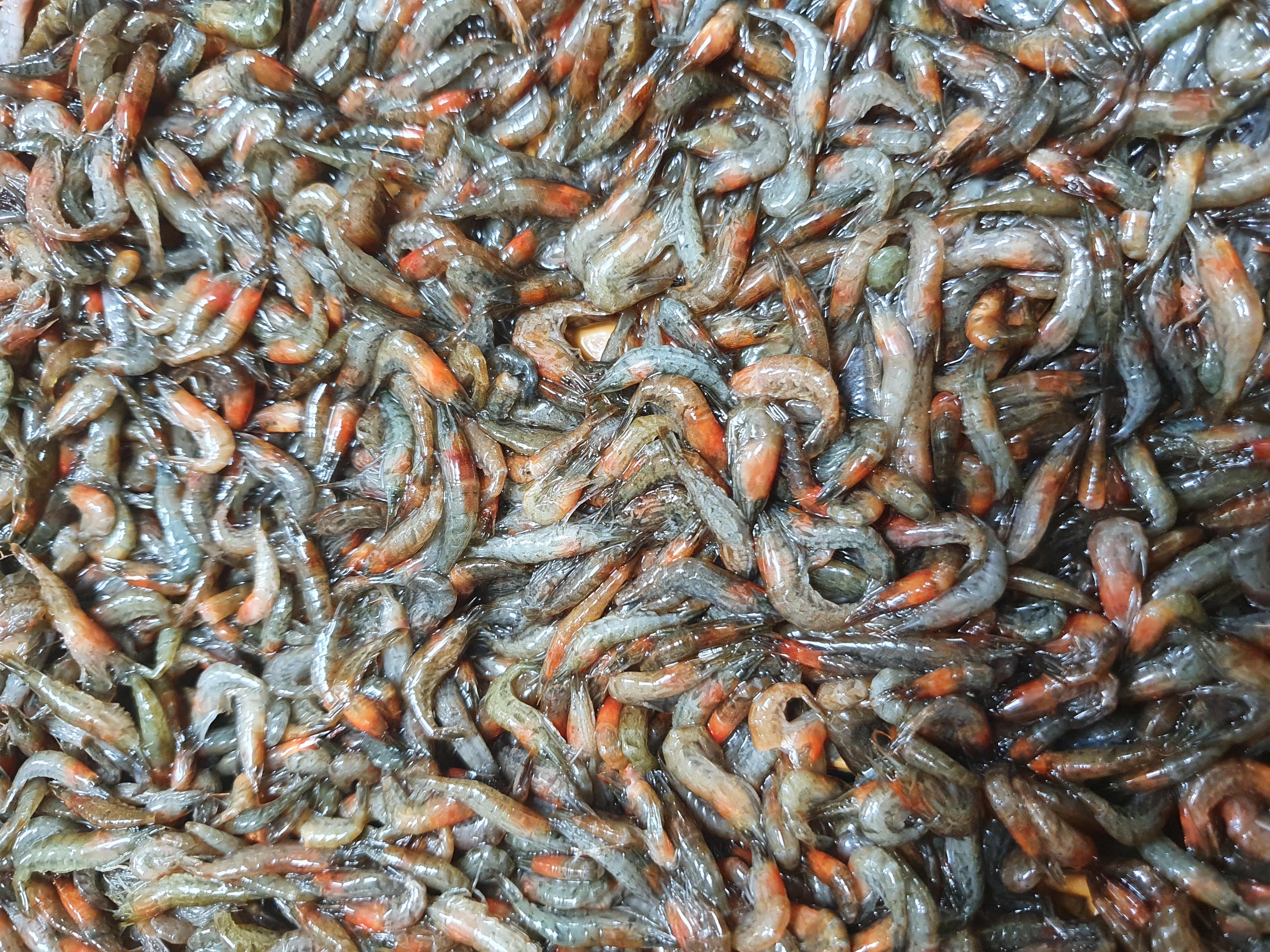 Joheunsijeol 5