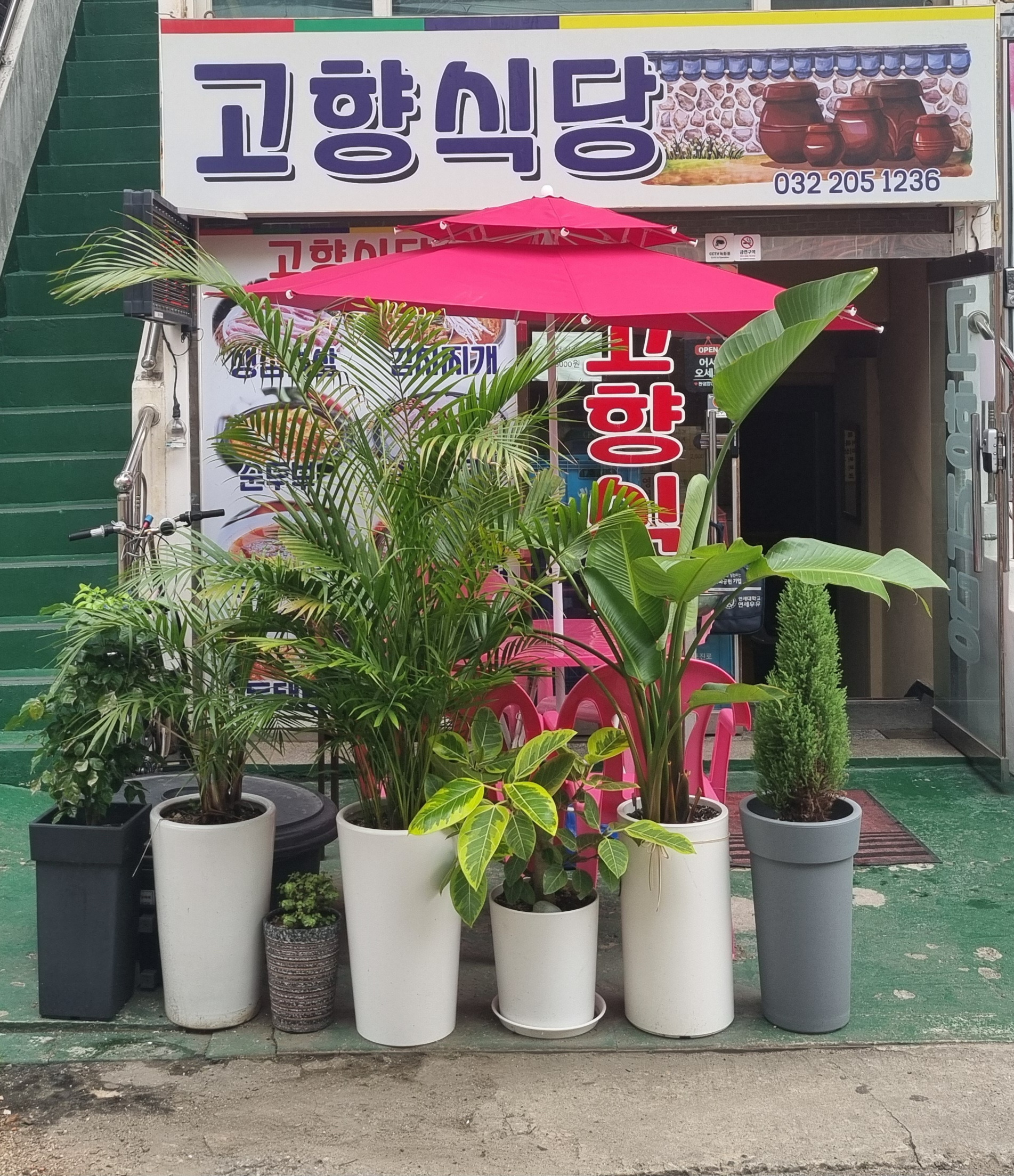 고향식당 3