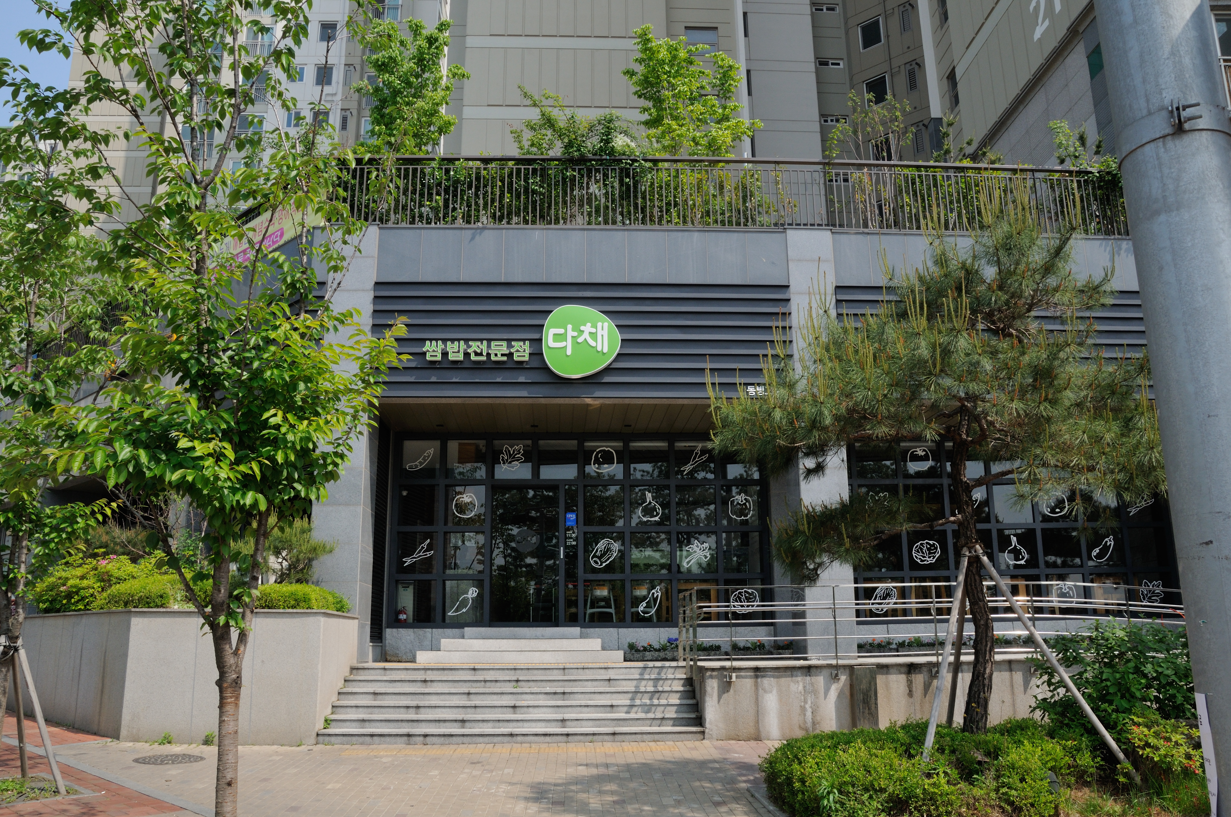 Dachae (다채) 1