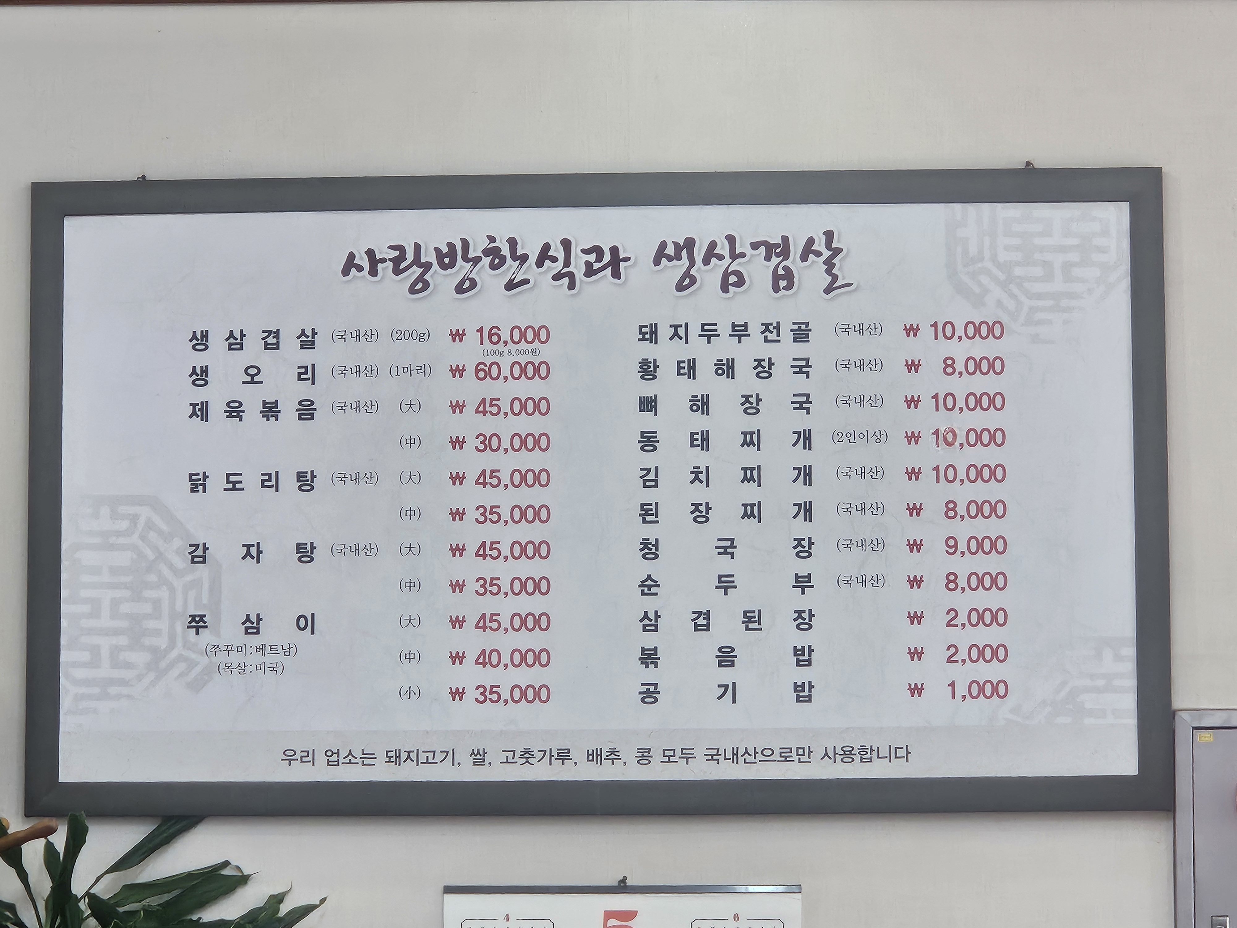 Sarangbanghansikgwa saengsamgyeopsal 2