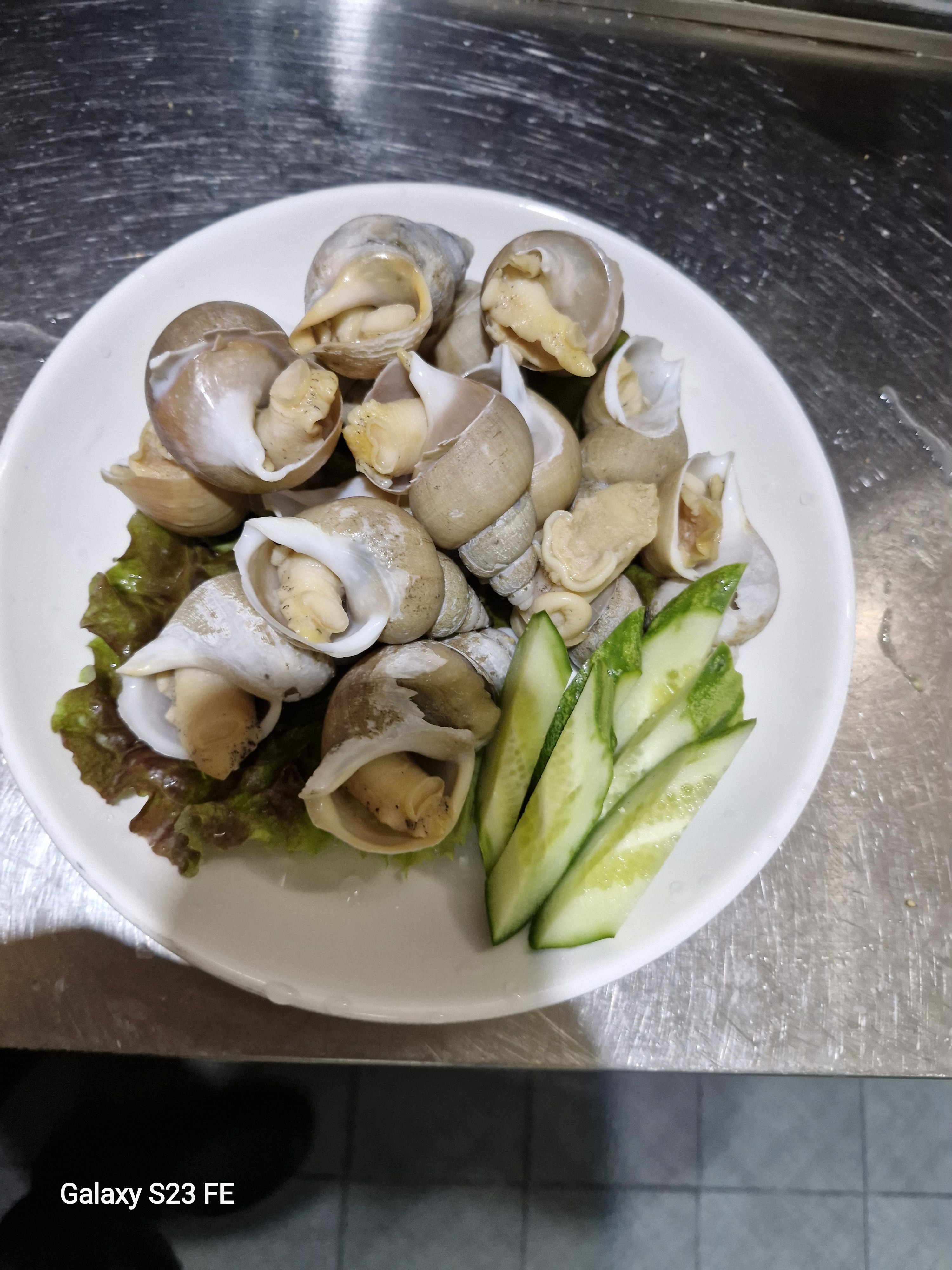 아로바스 사진 7