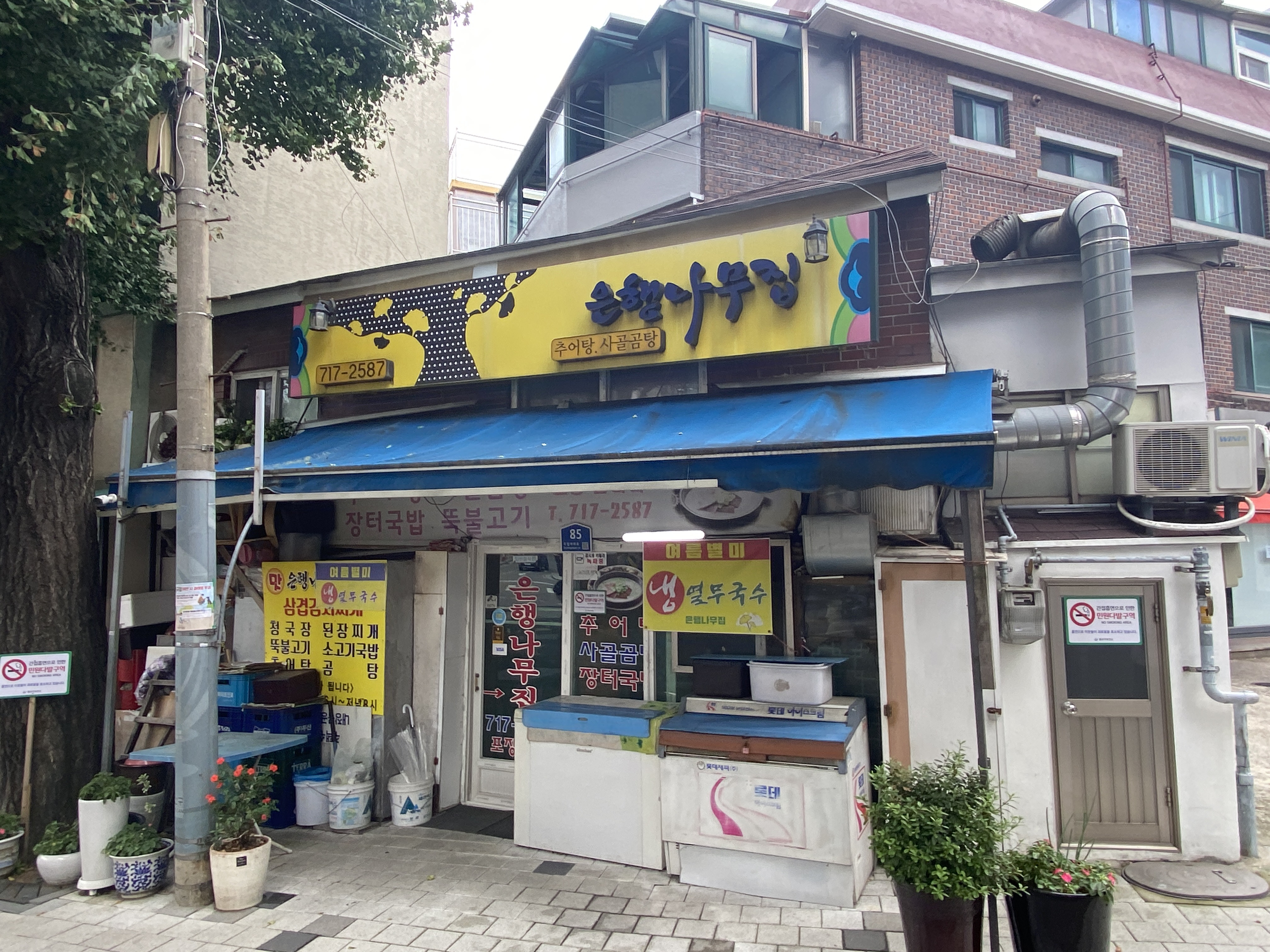 은행나무집 대표 사진