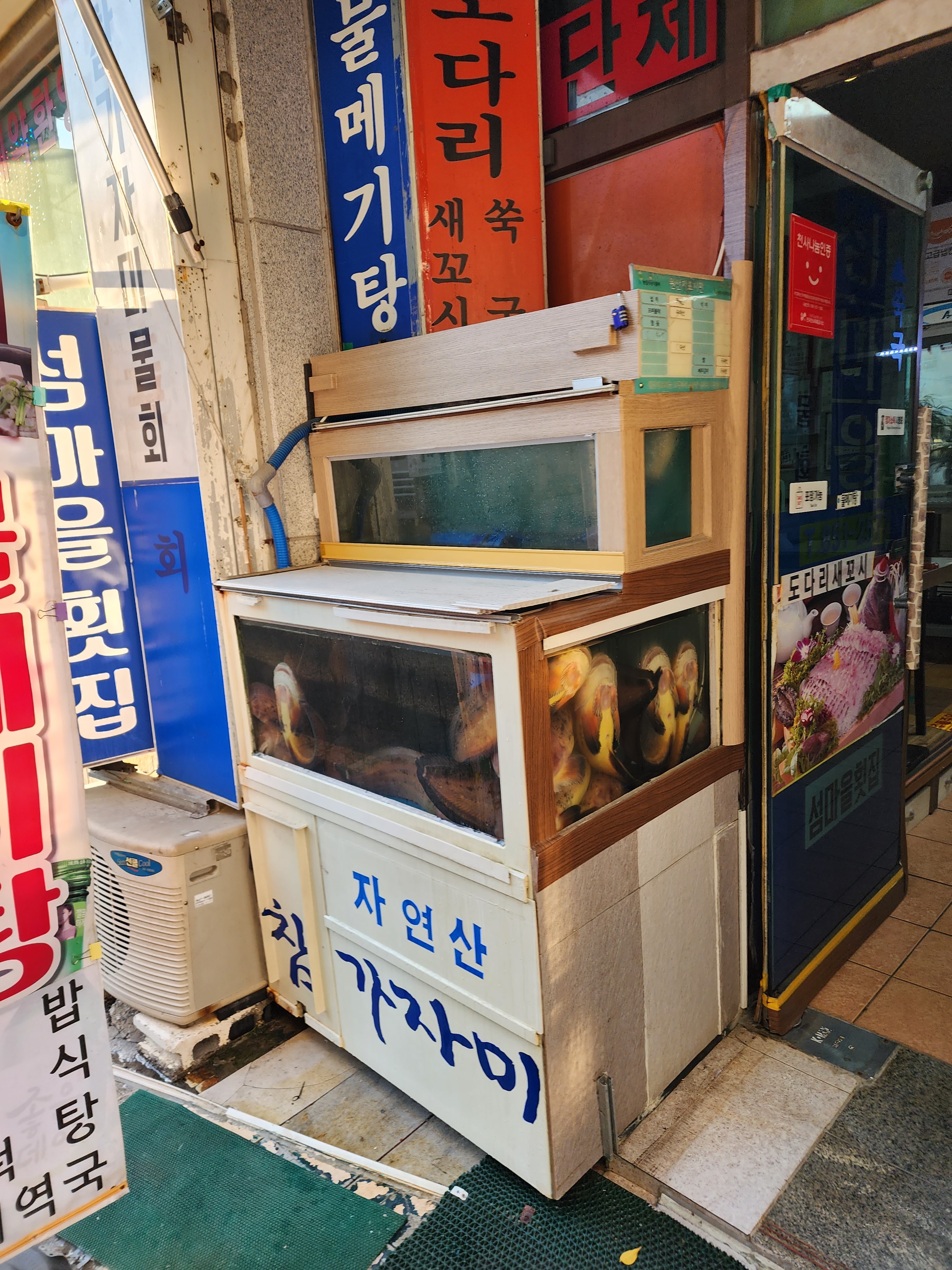 섬마을횟집 사진 3