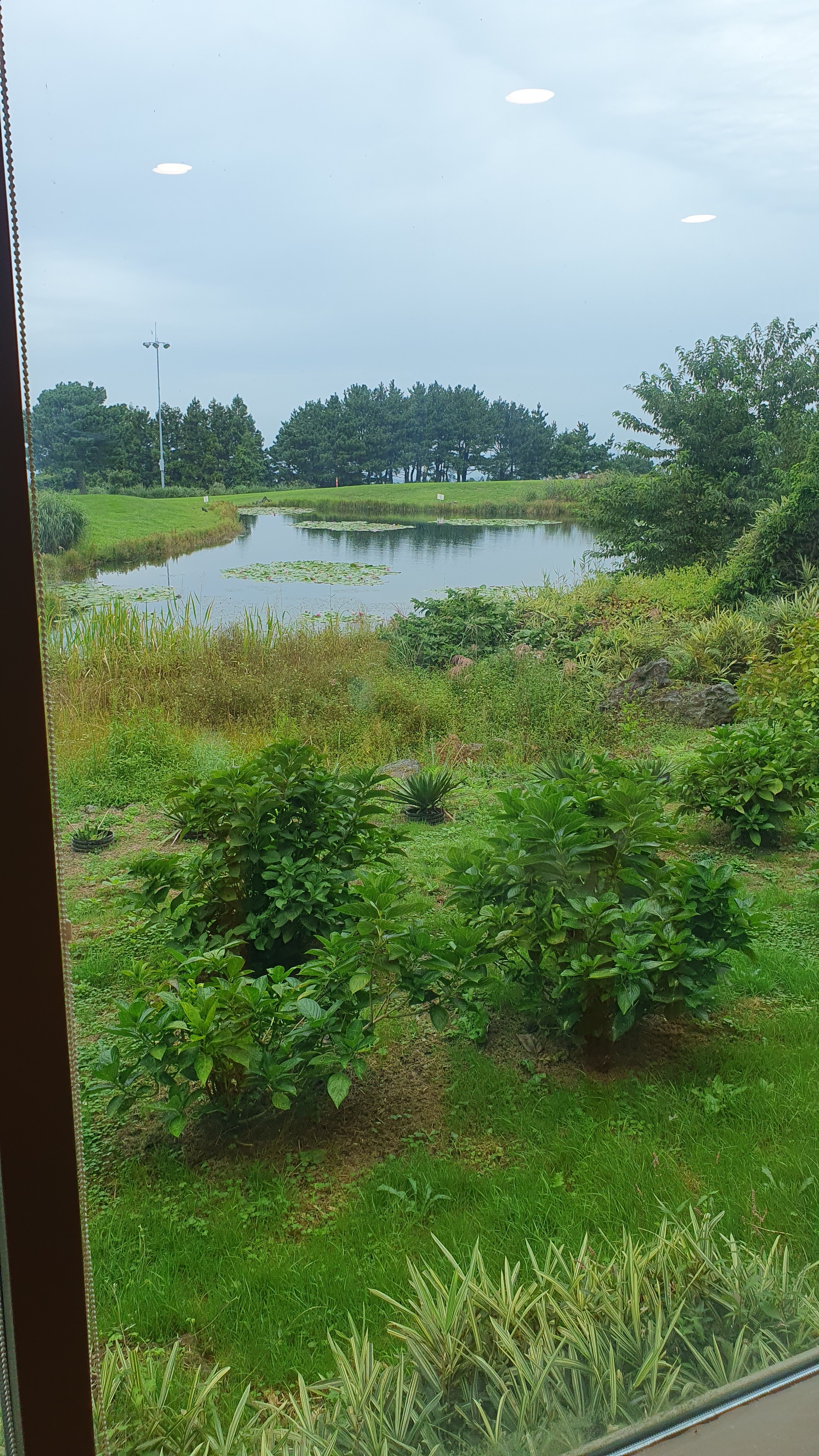 클럽하우스그릴 사진 2