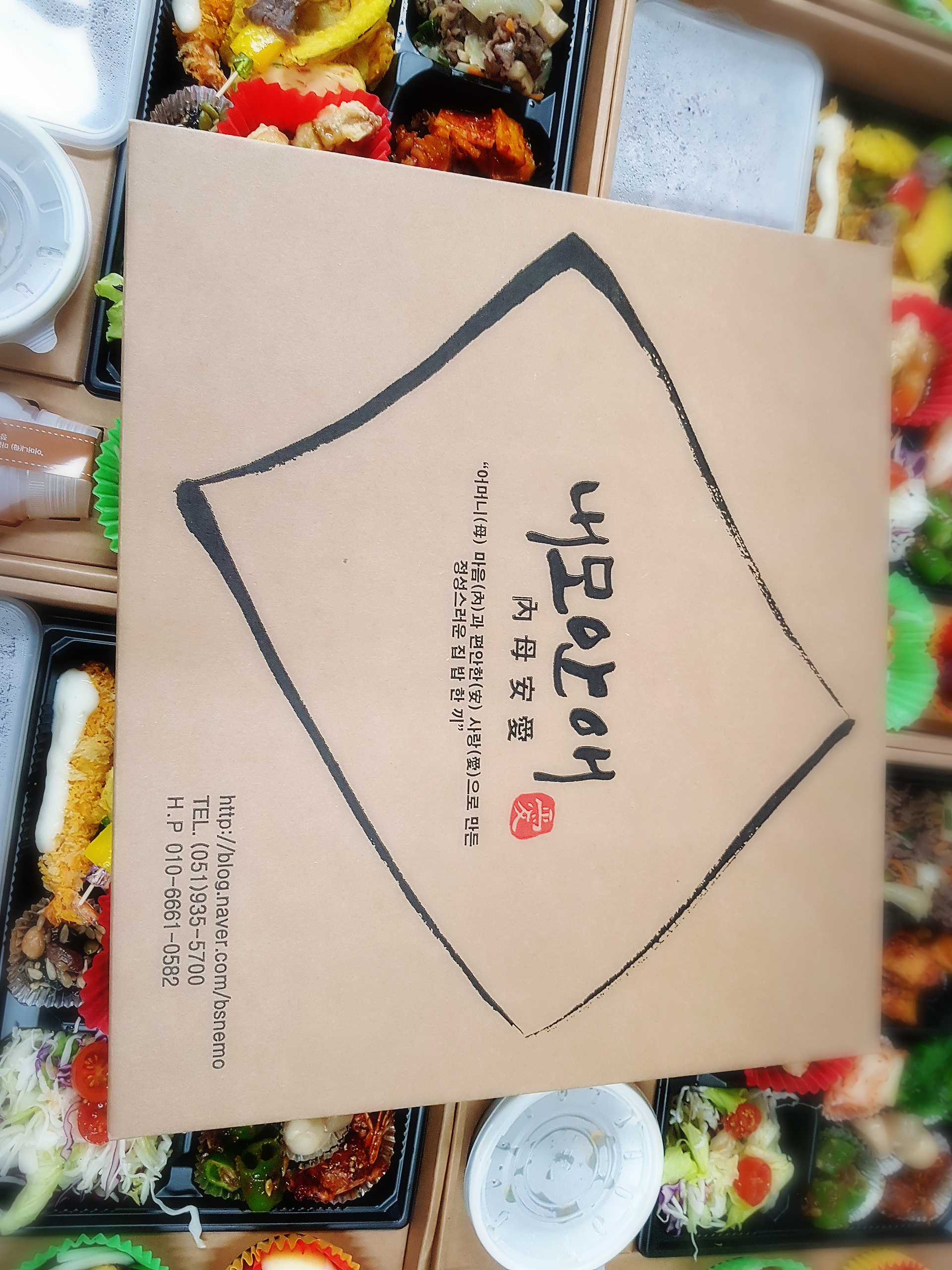 내모안애 사진 4