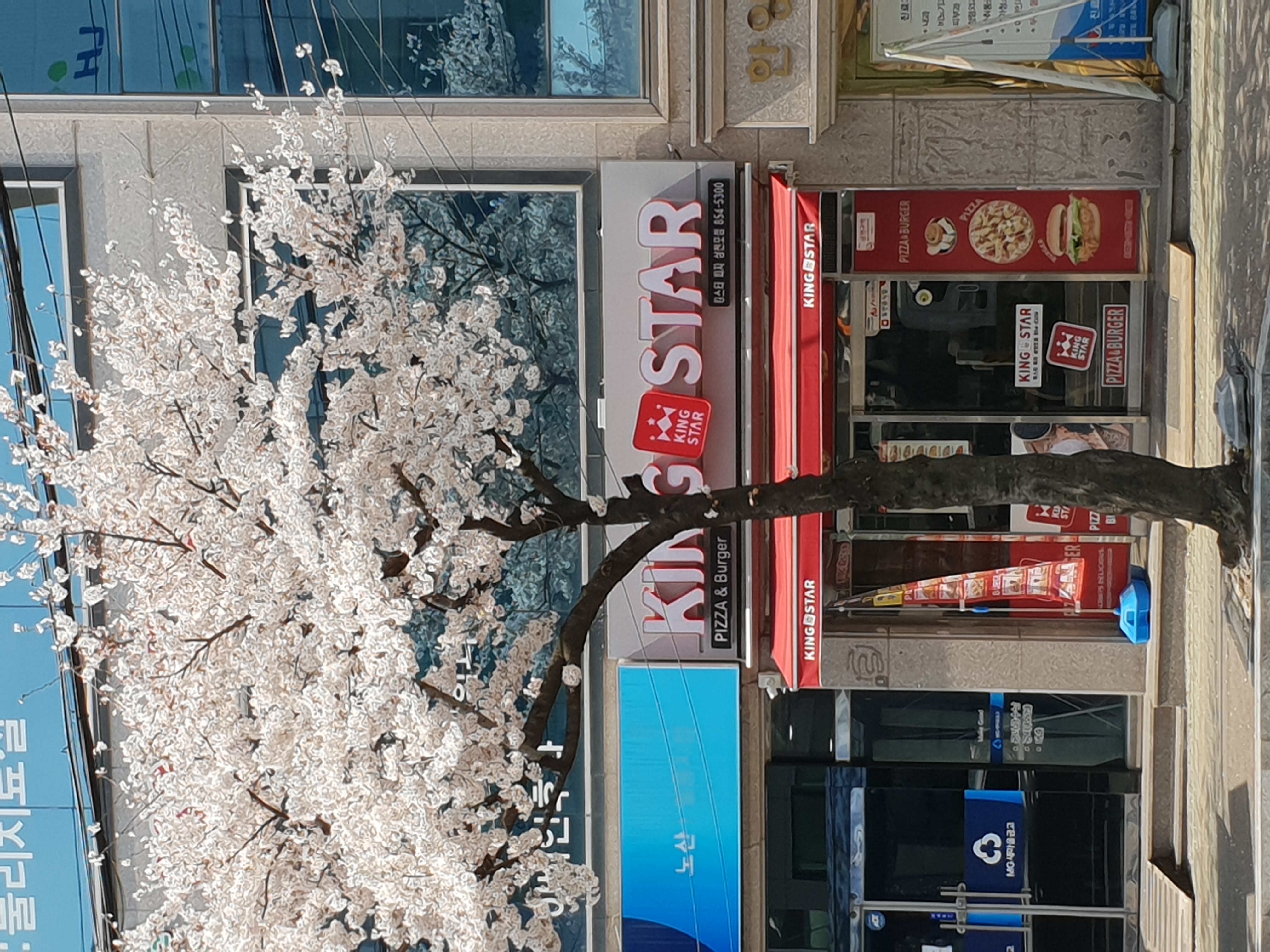 킹스타피자 삼천포점 사진 2