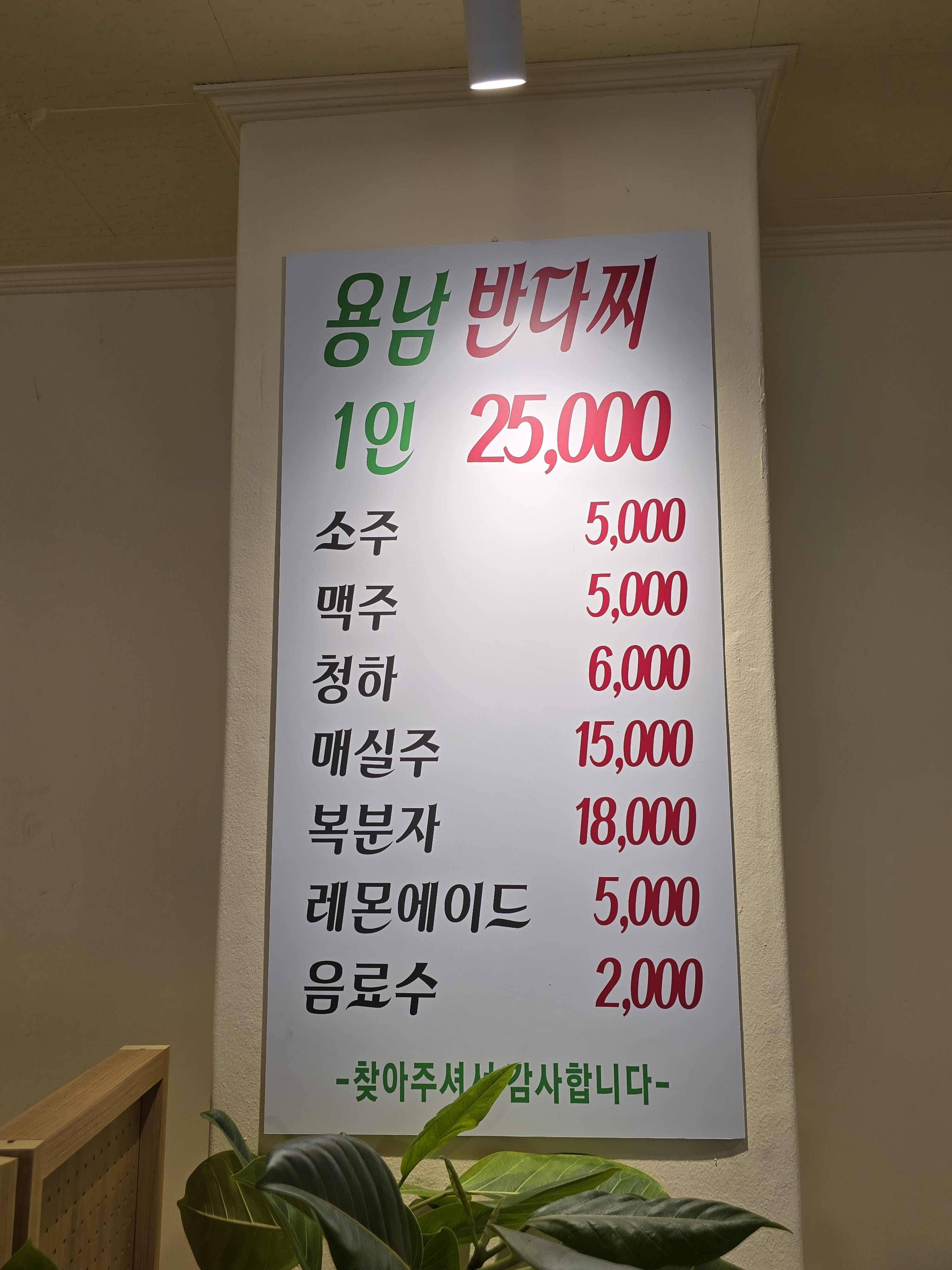 용남반다찌 사진 4