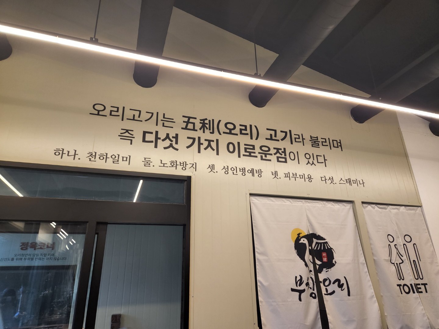 부창오리 사진 8