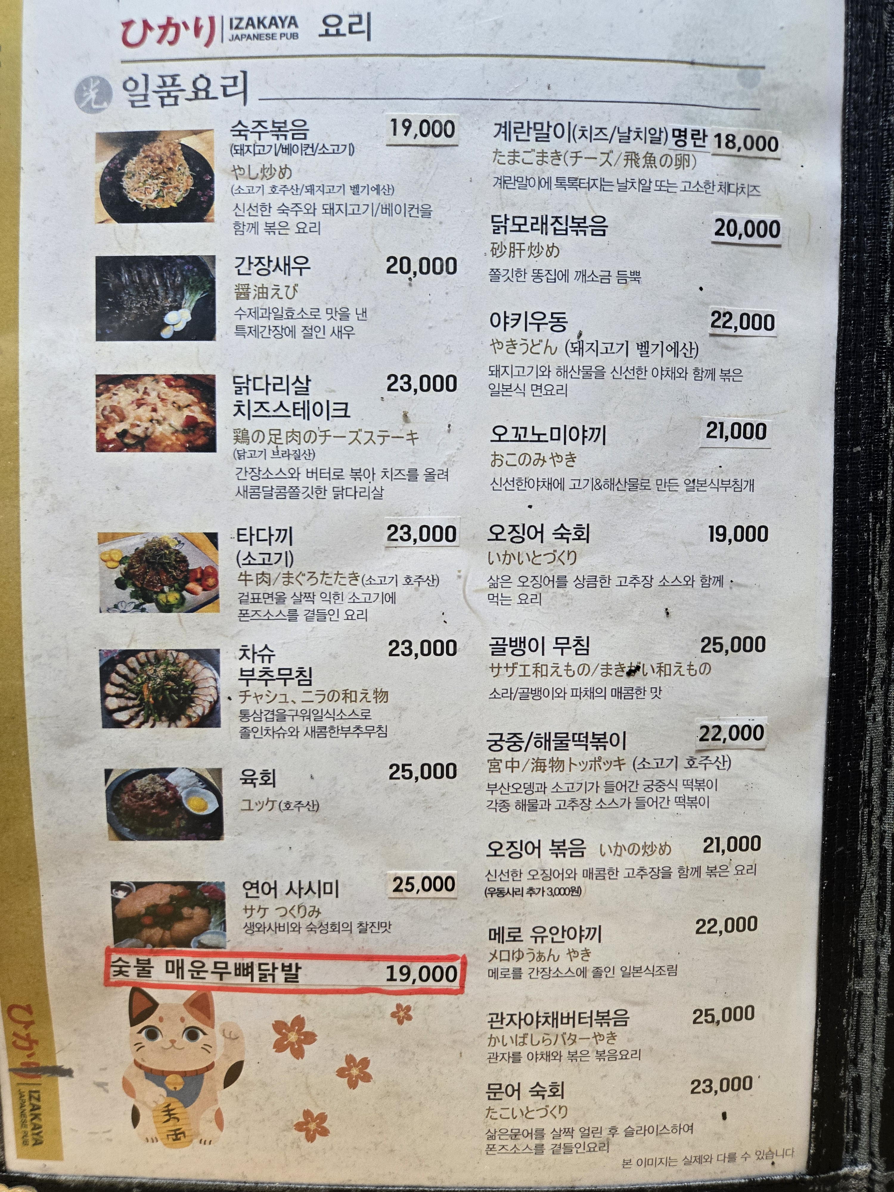 히카리 사진 6
