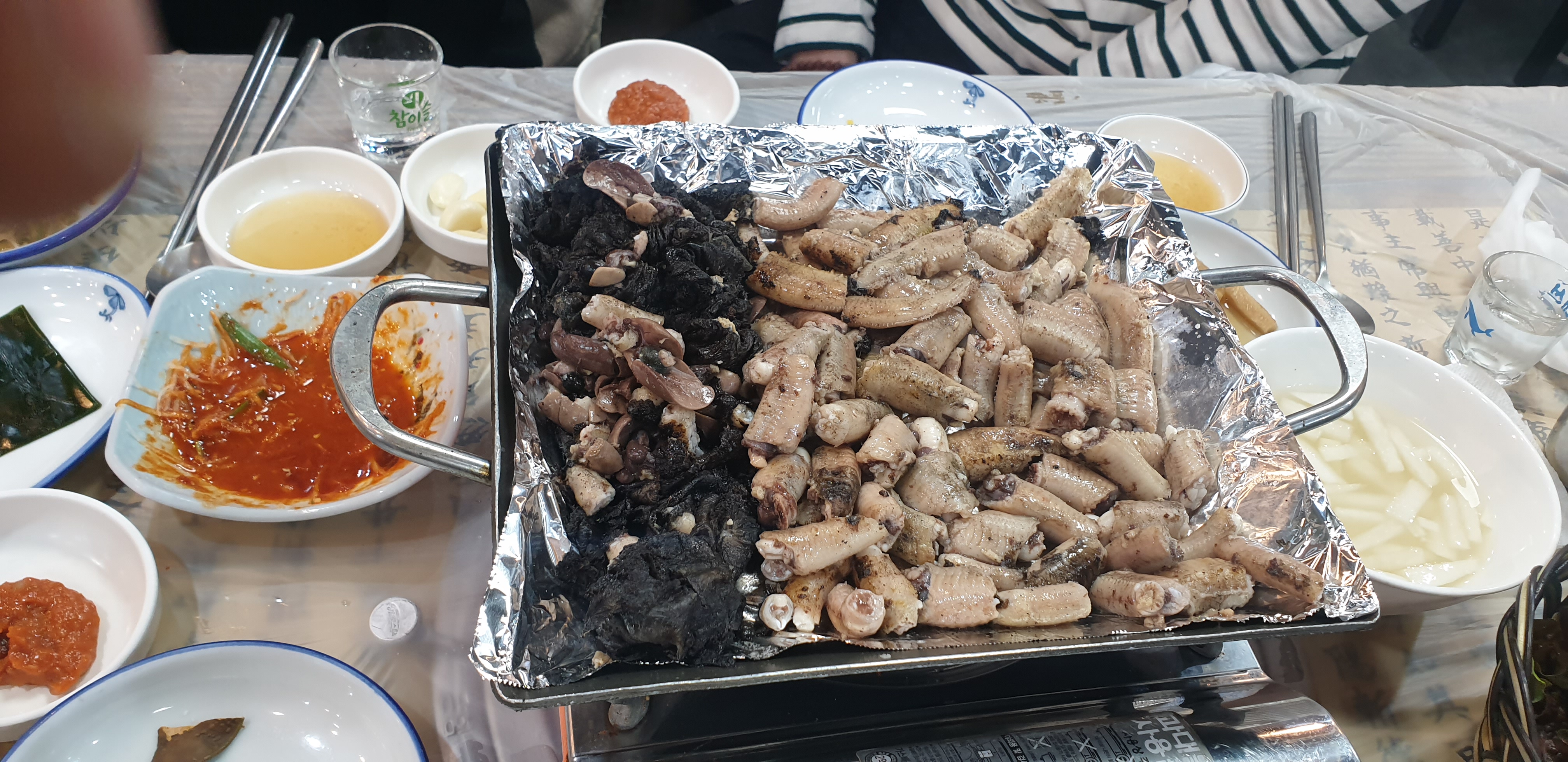 해강장어 사진 2
