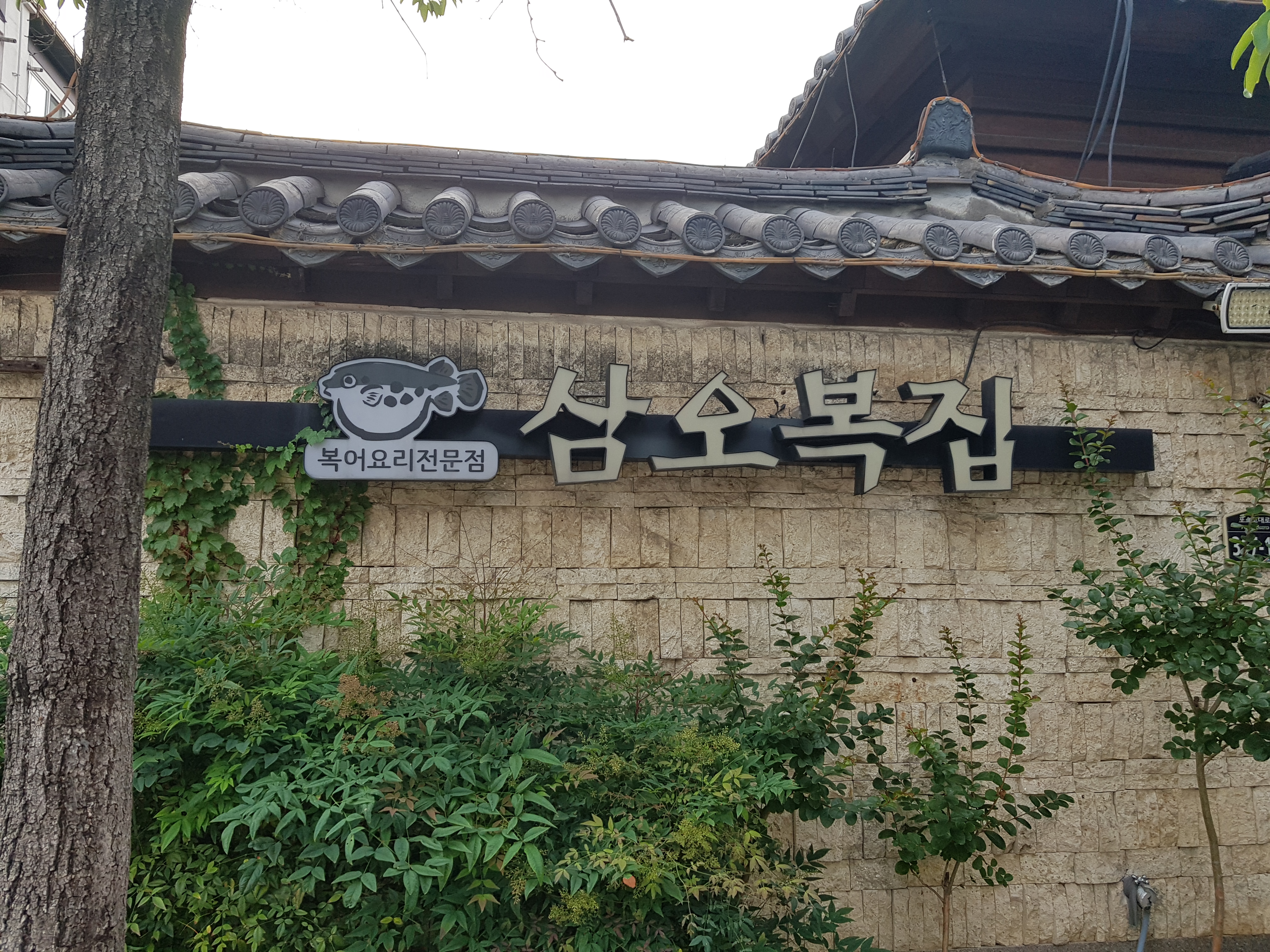 삼오복집 1