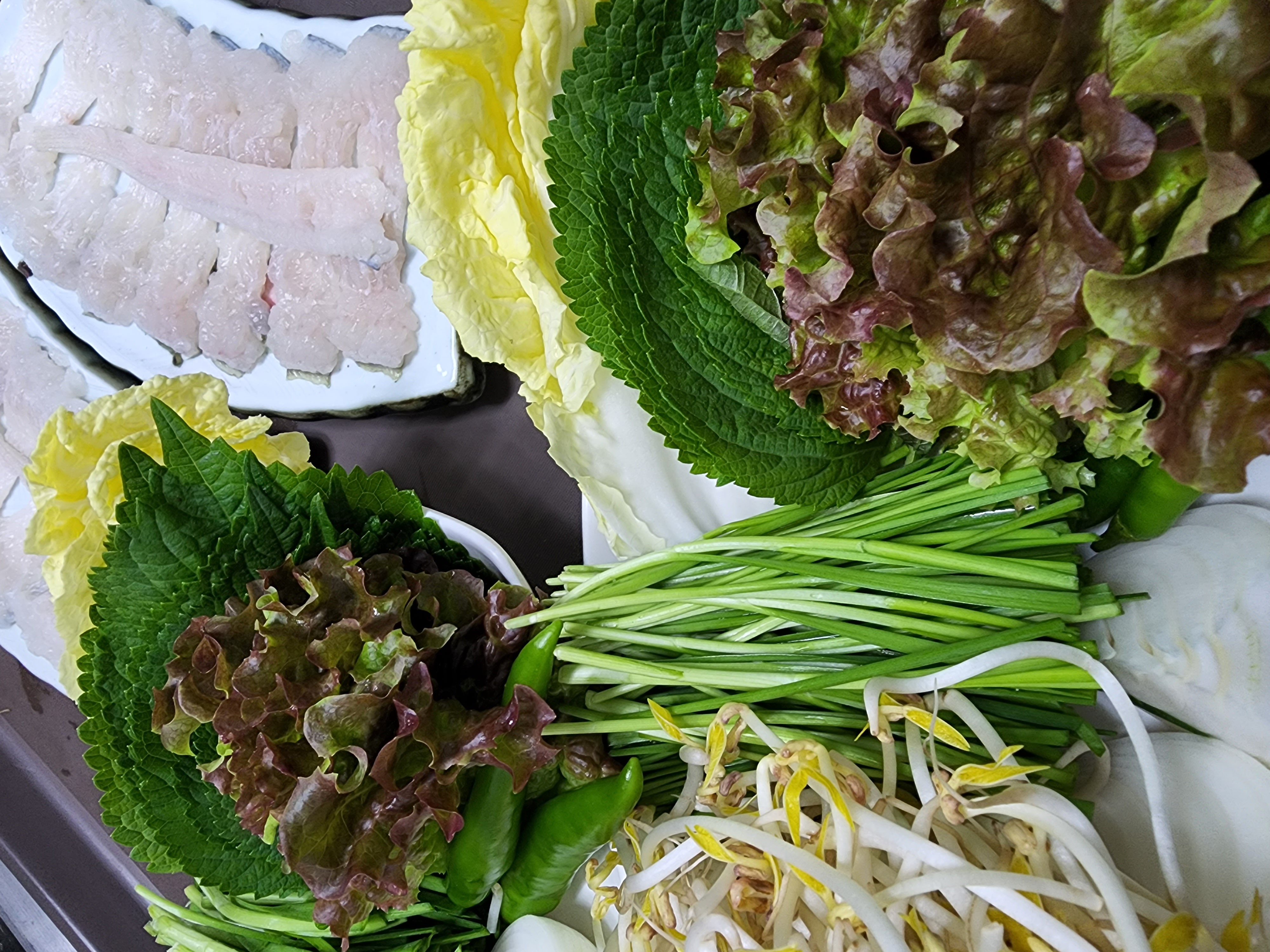 나루터 사진 4