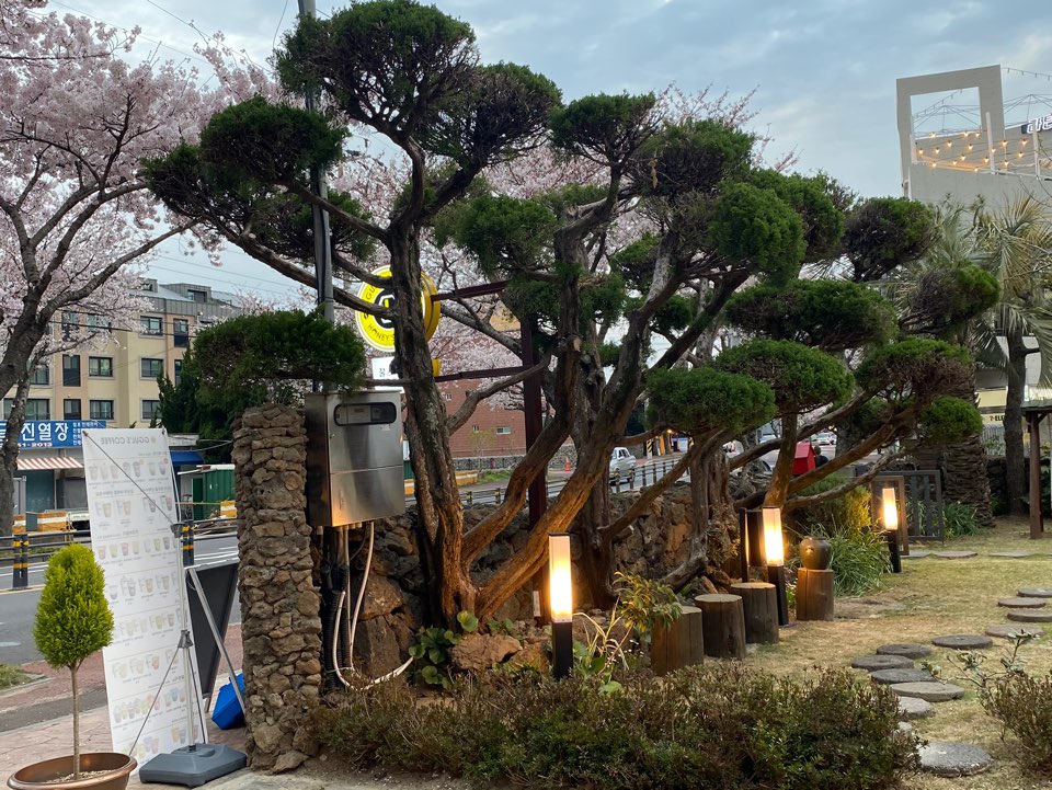 꿀스커피 제주아라점
