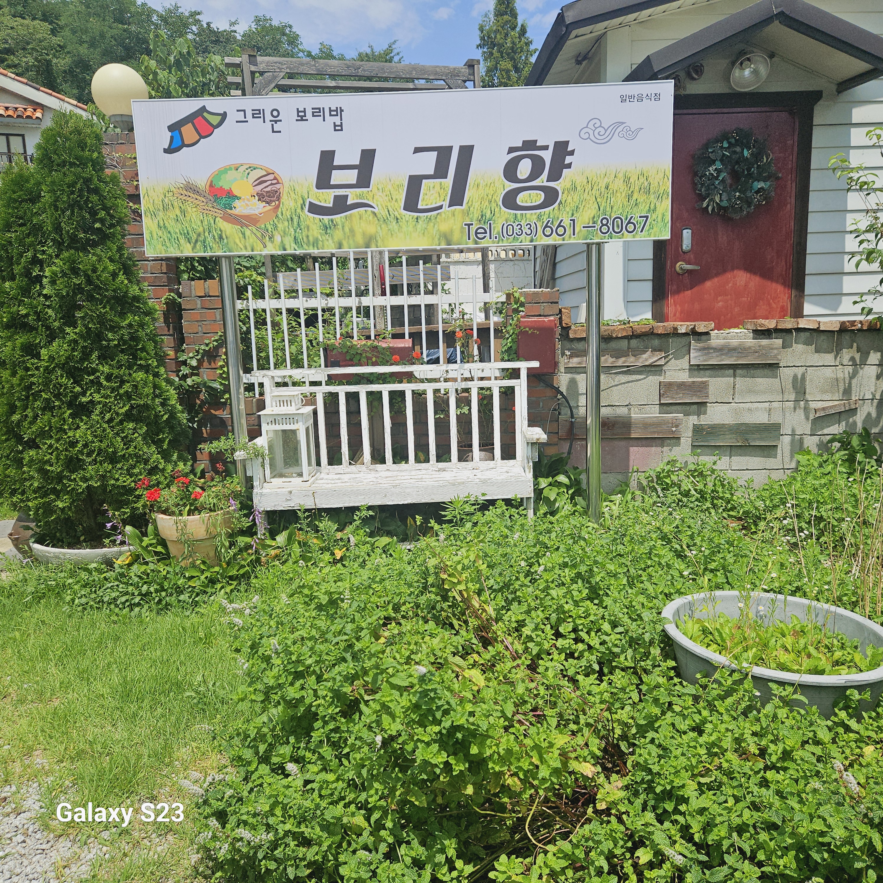 보리향보리밥 대표 사진