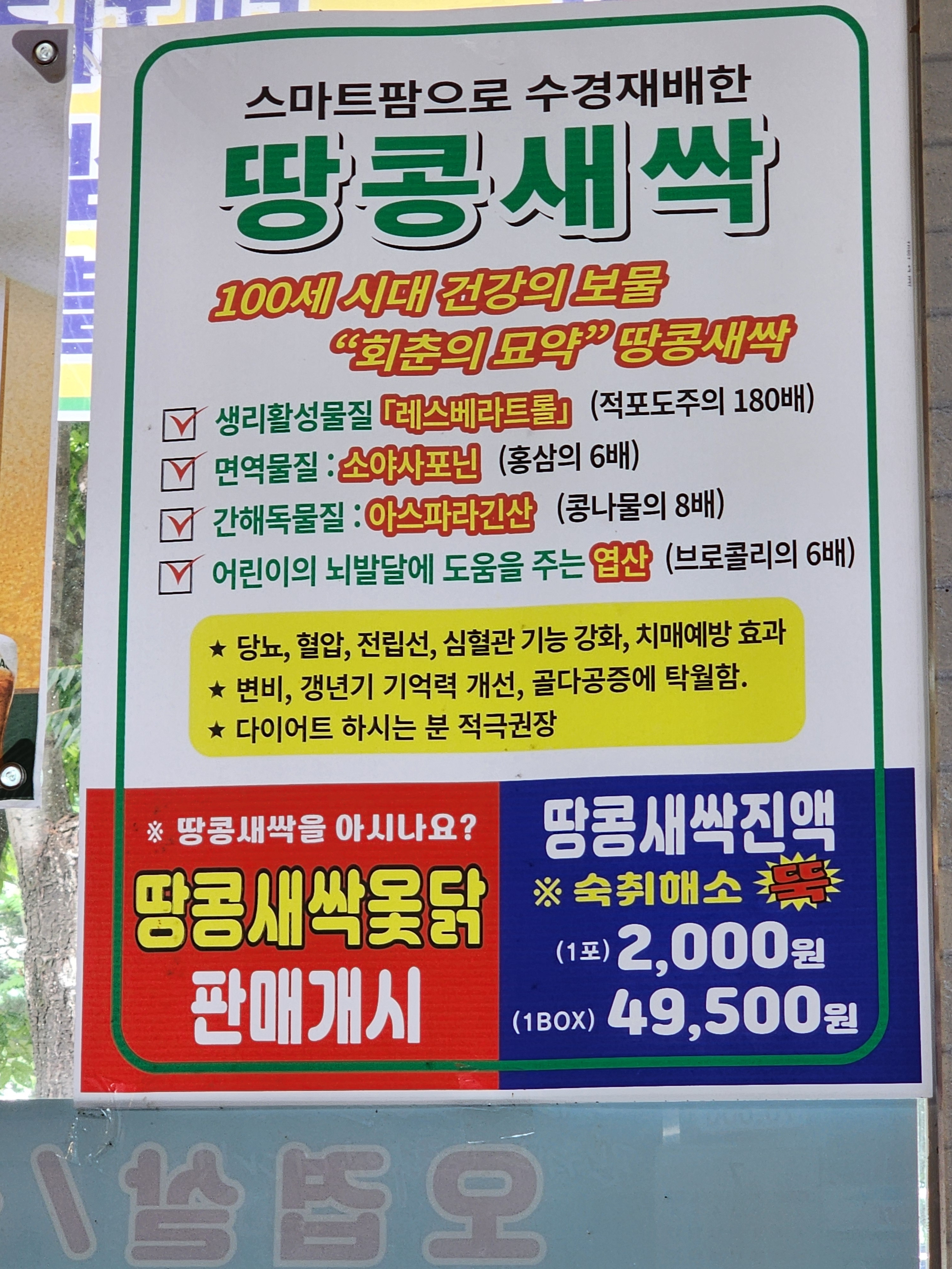 도림 2