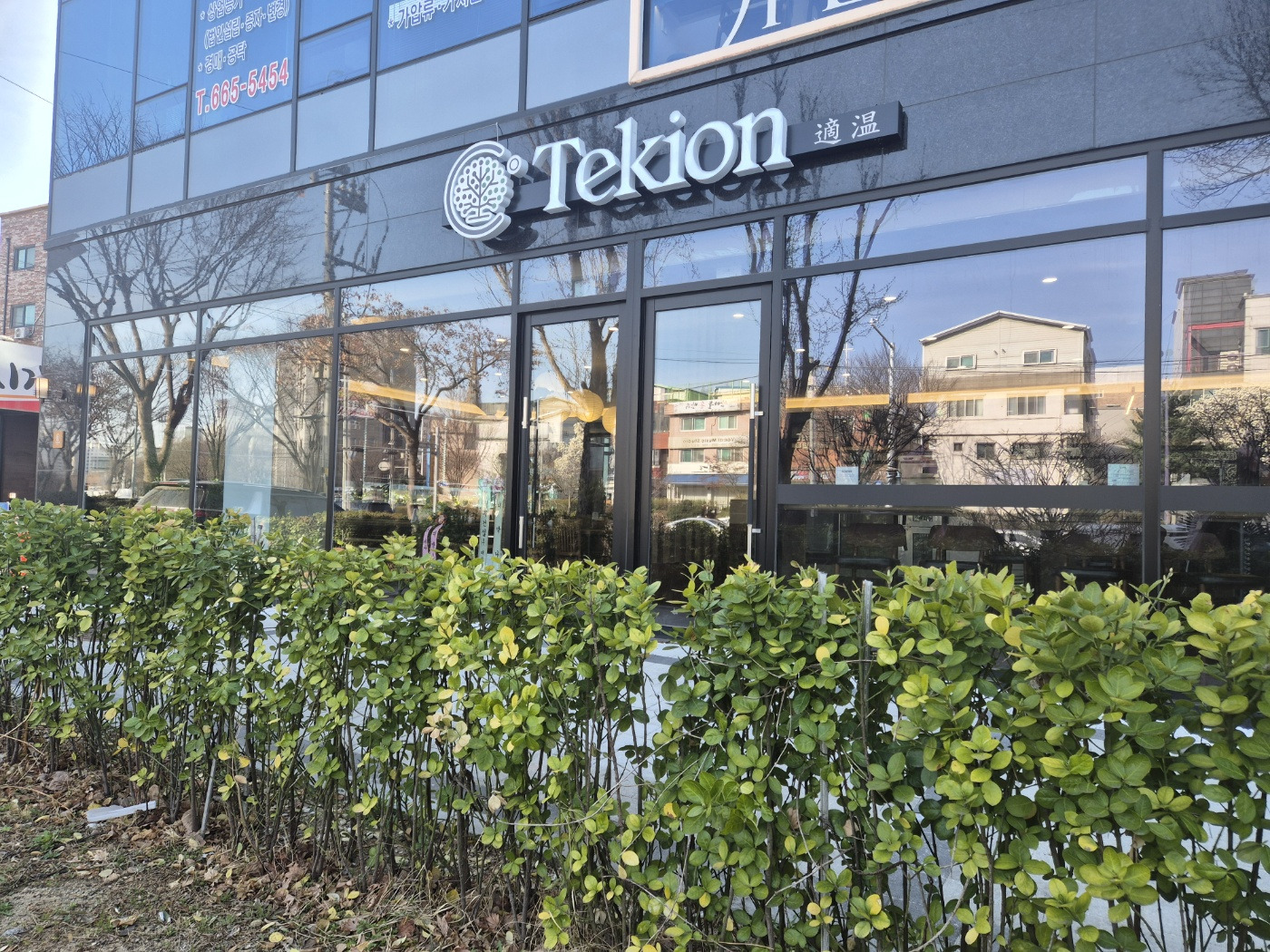 Tekion (테키온) 1