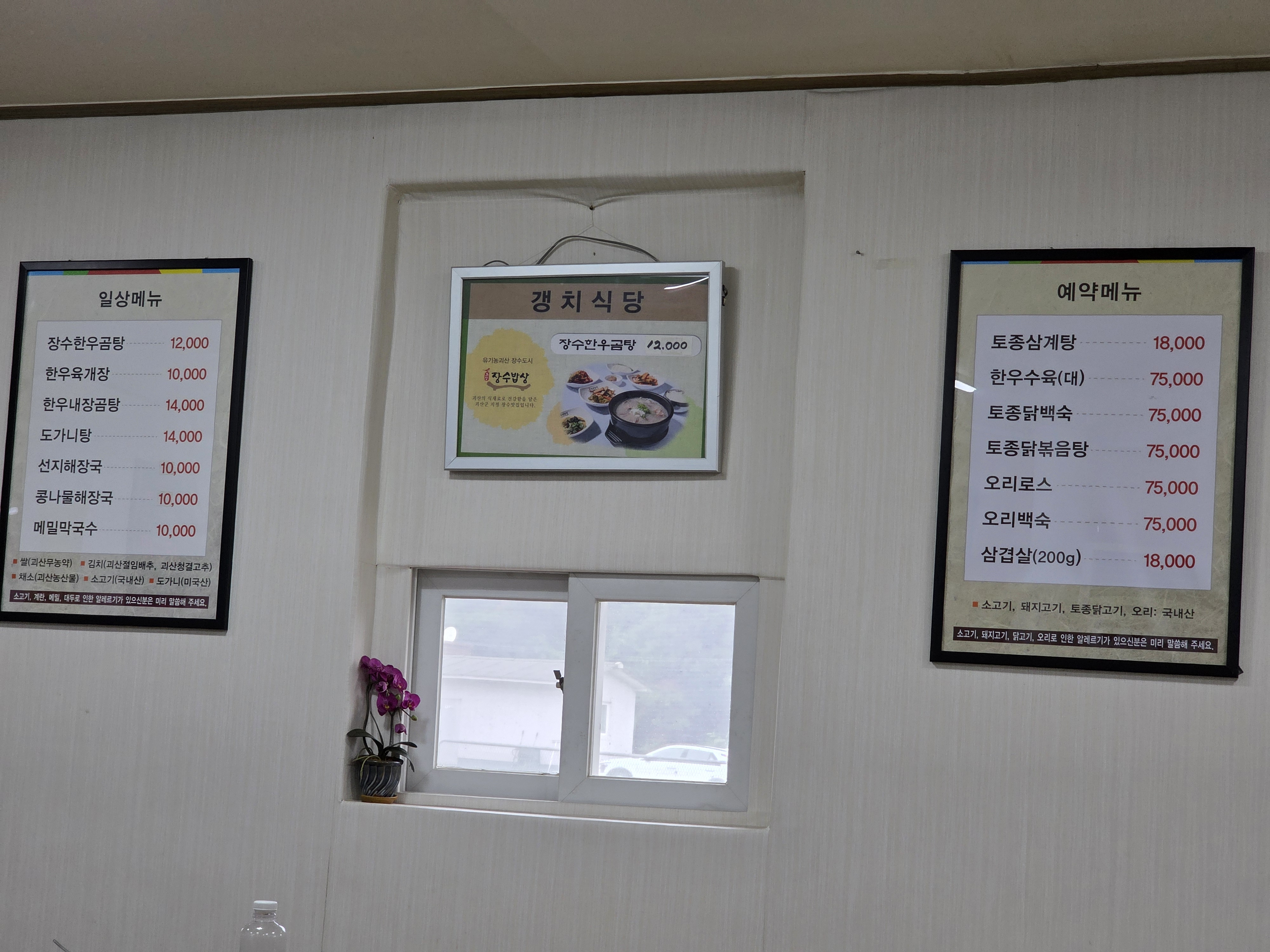 갱치 1