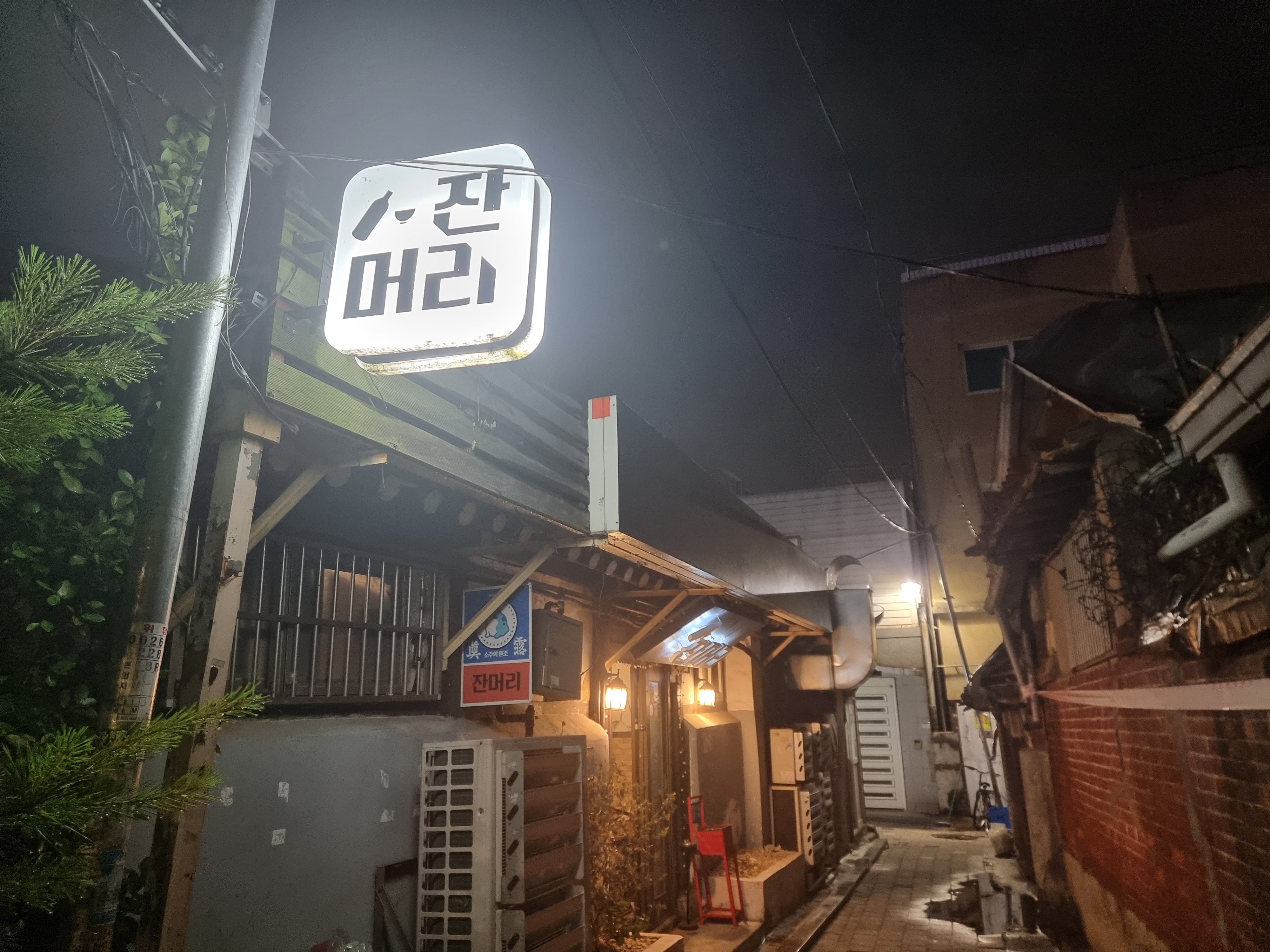잔머리 사진 3