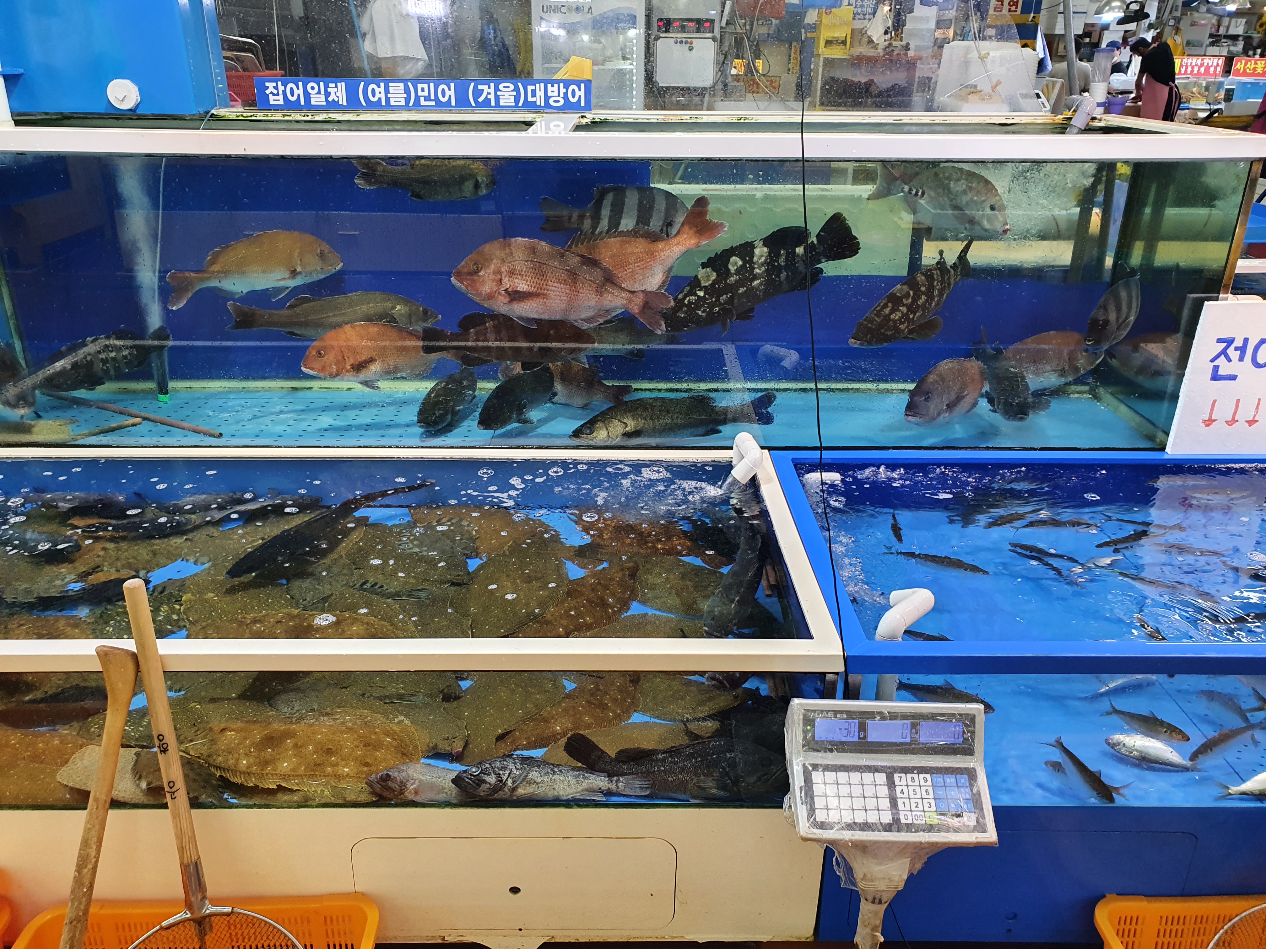 공항수산 사진 2