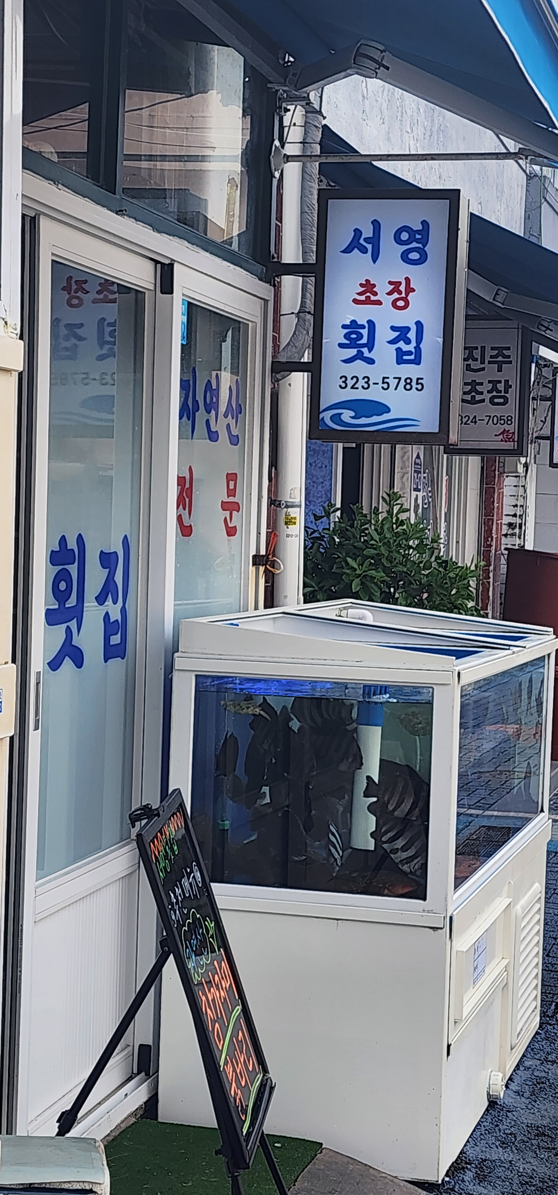 서영횟집 사상본점 사진 3