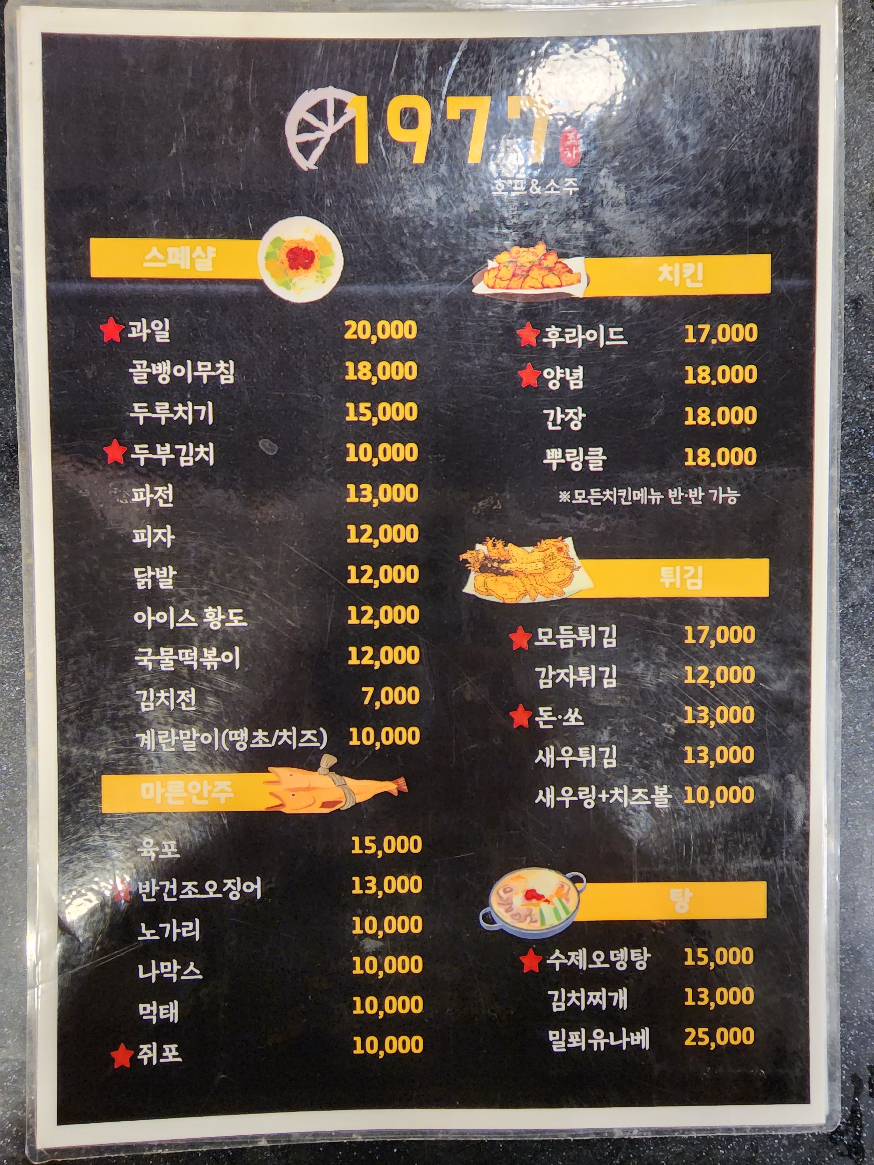 1977 대표 사진