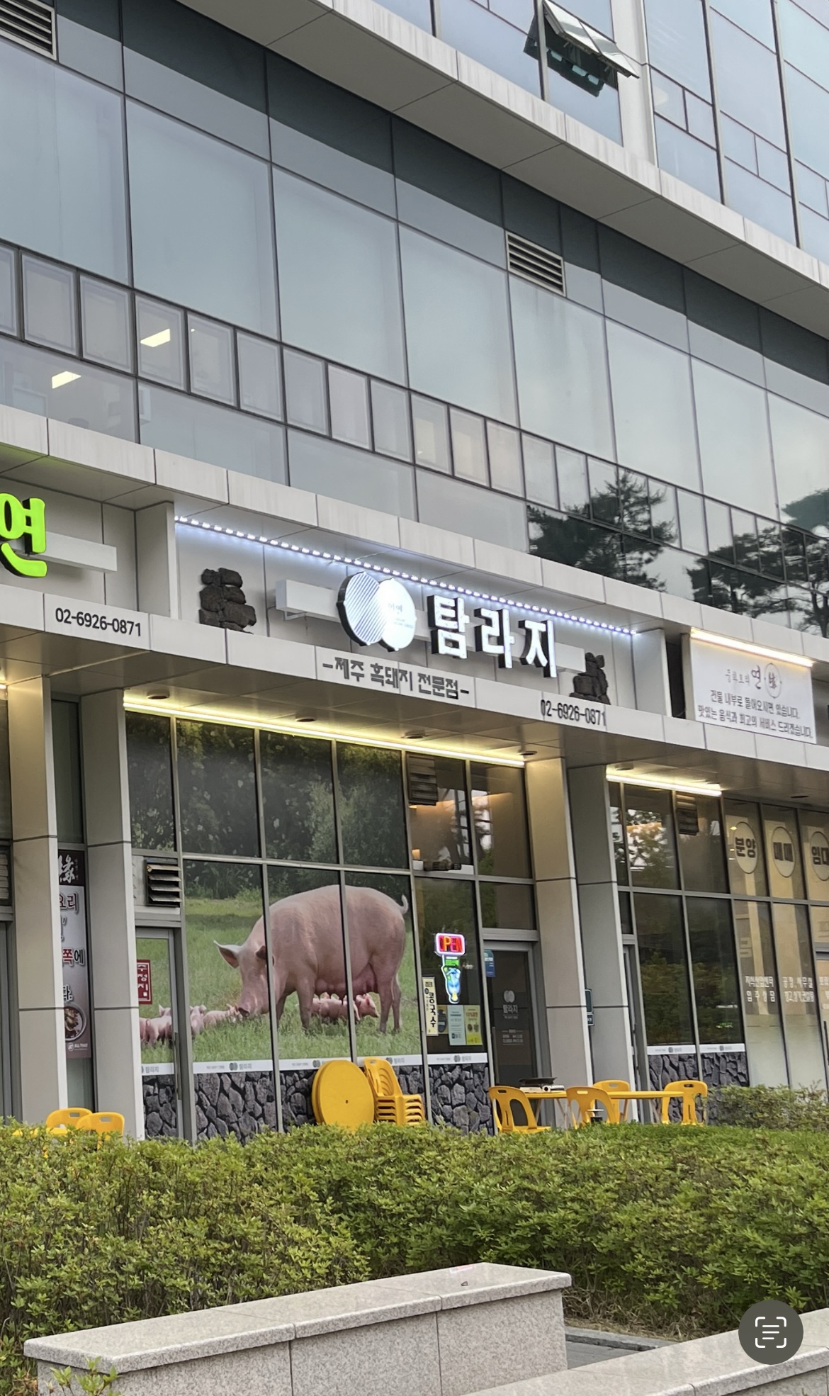 탐라지 대표 사진