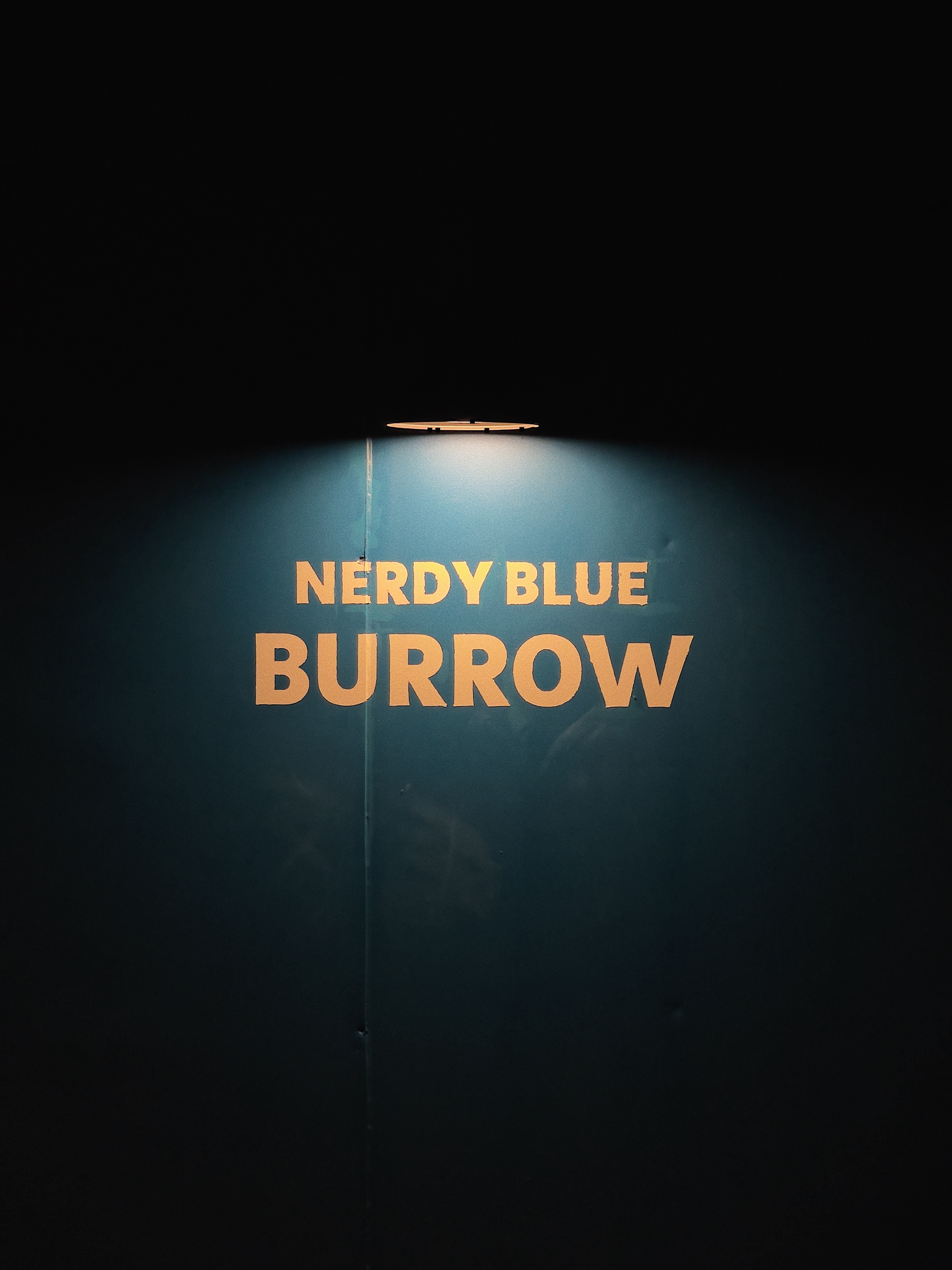 너디블루버로우 3