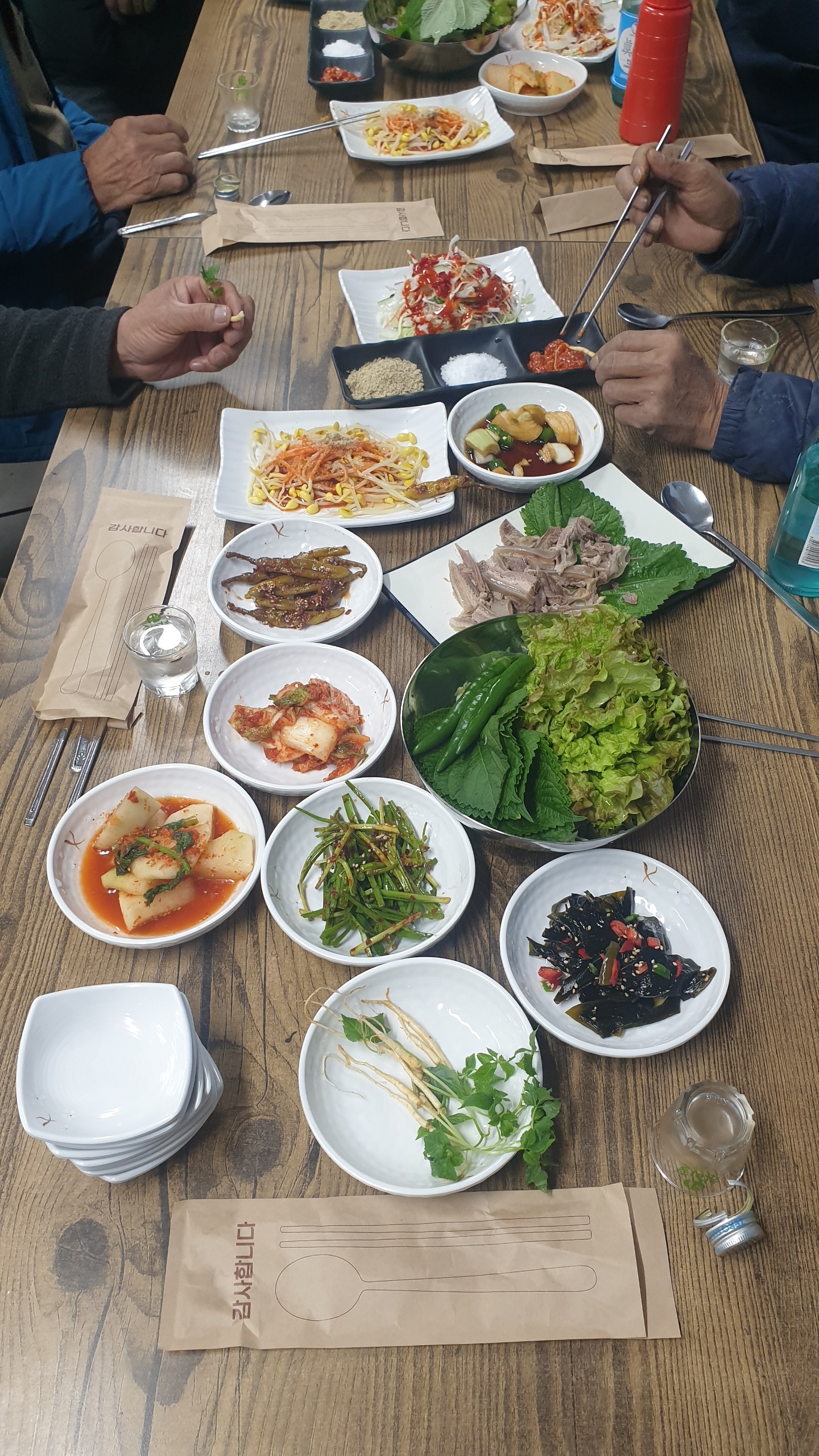 Sambongori yeomso (삼봉오리 염소) 2