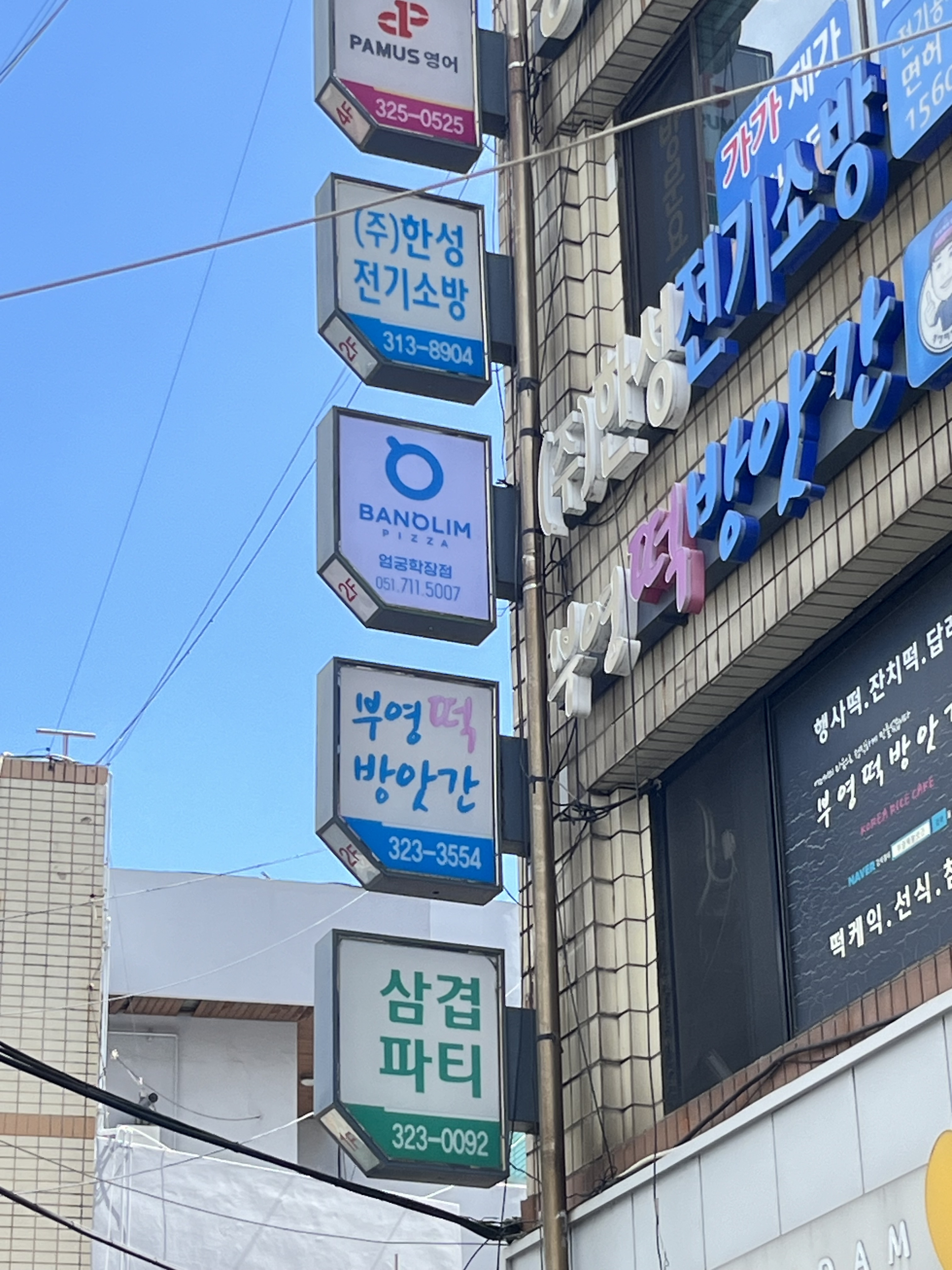 반올림피자 부산엄궁학장점 사진 3