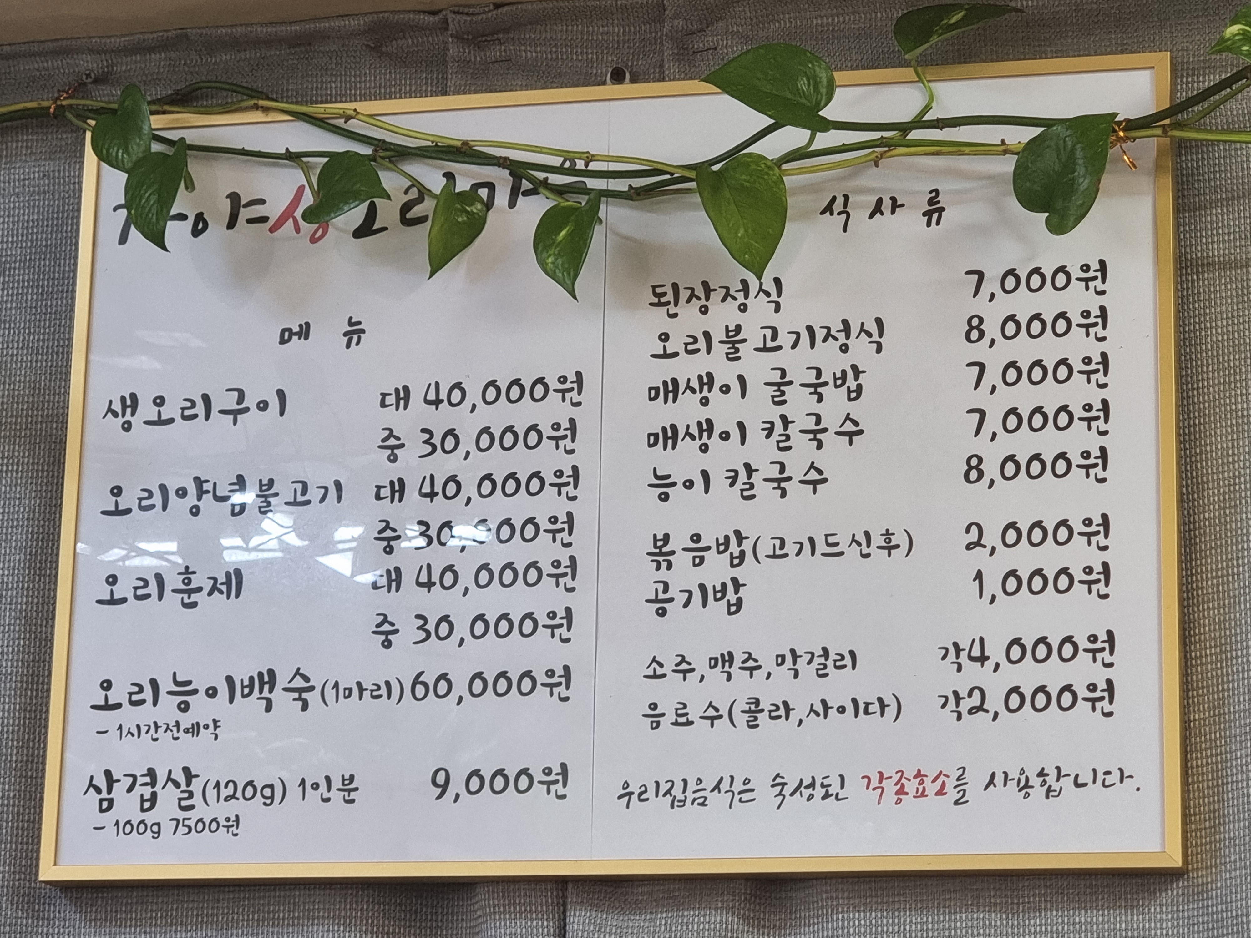 Gayasaengorimaeul (가야생오리마을) 2