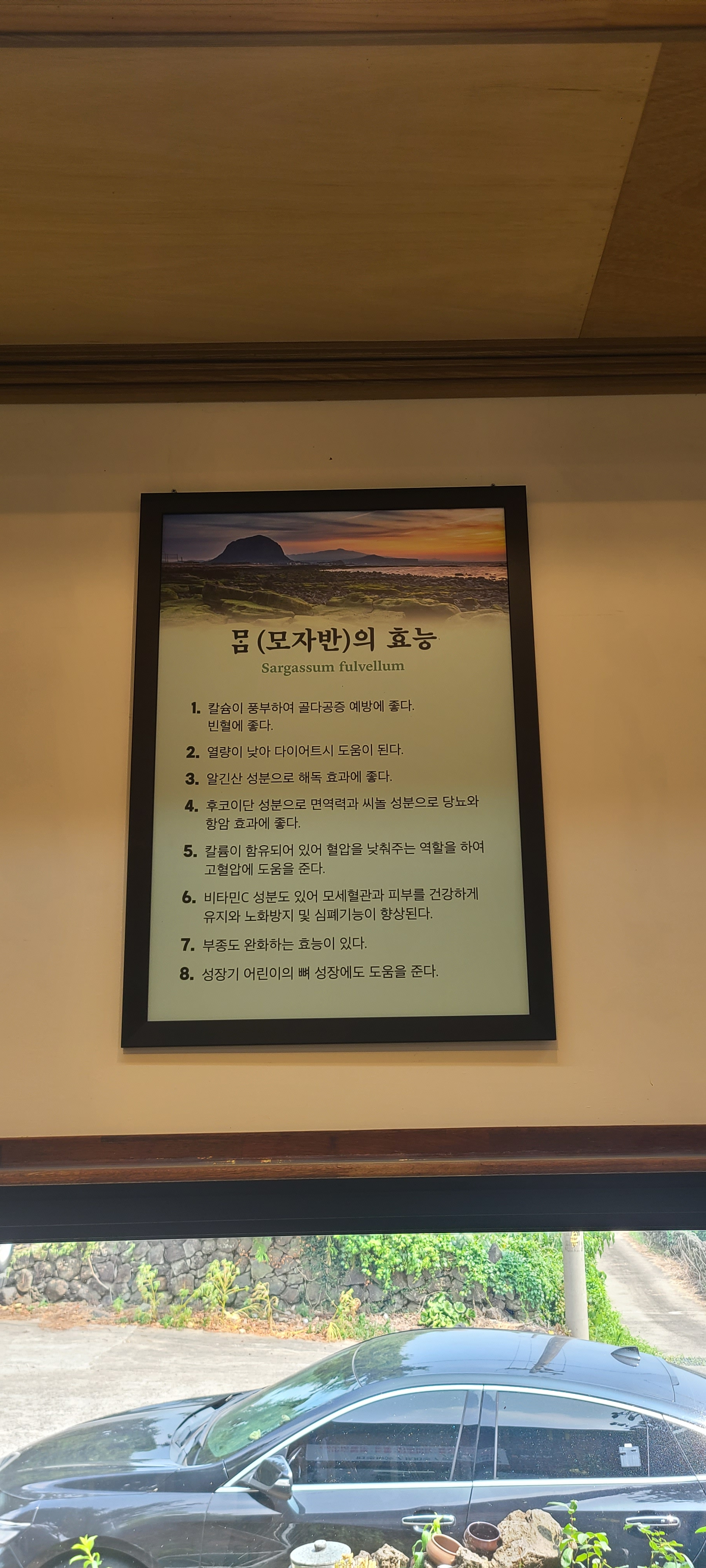 Myeongchiwon (명치원) 2