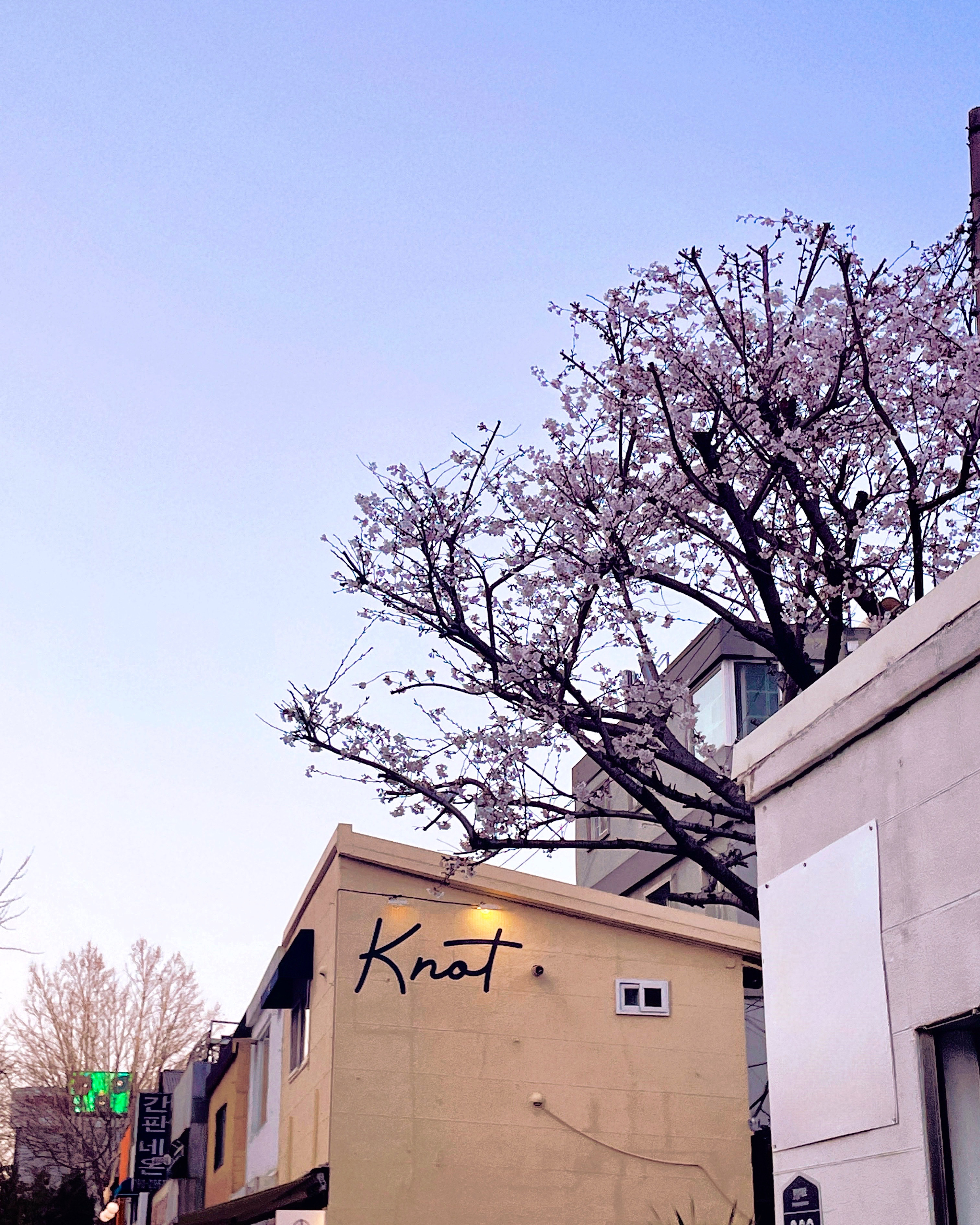 놋트 사진 3