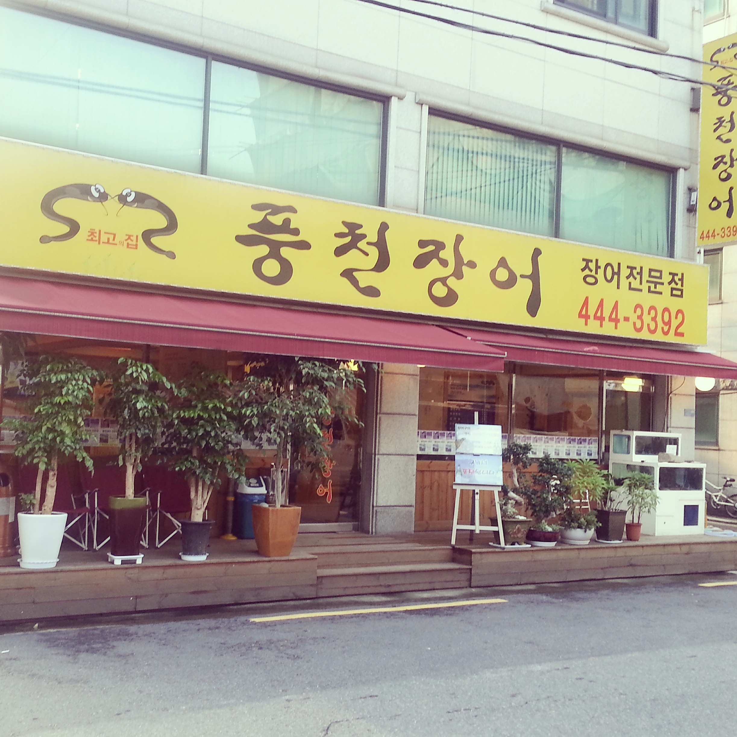 최고집풍천장어 1