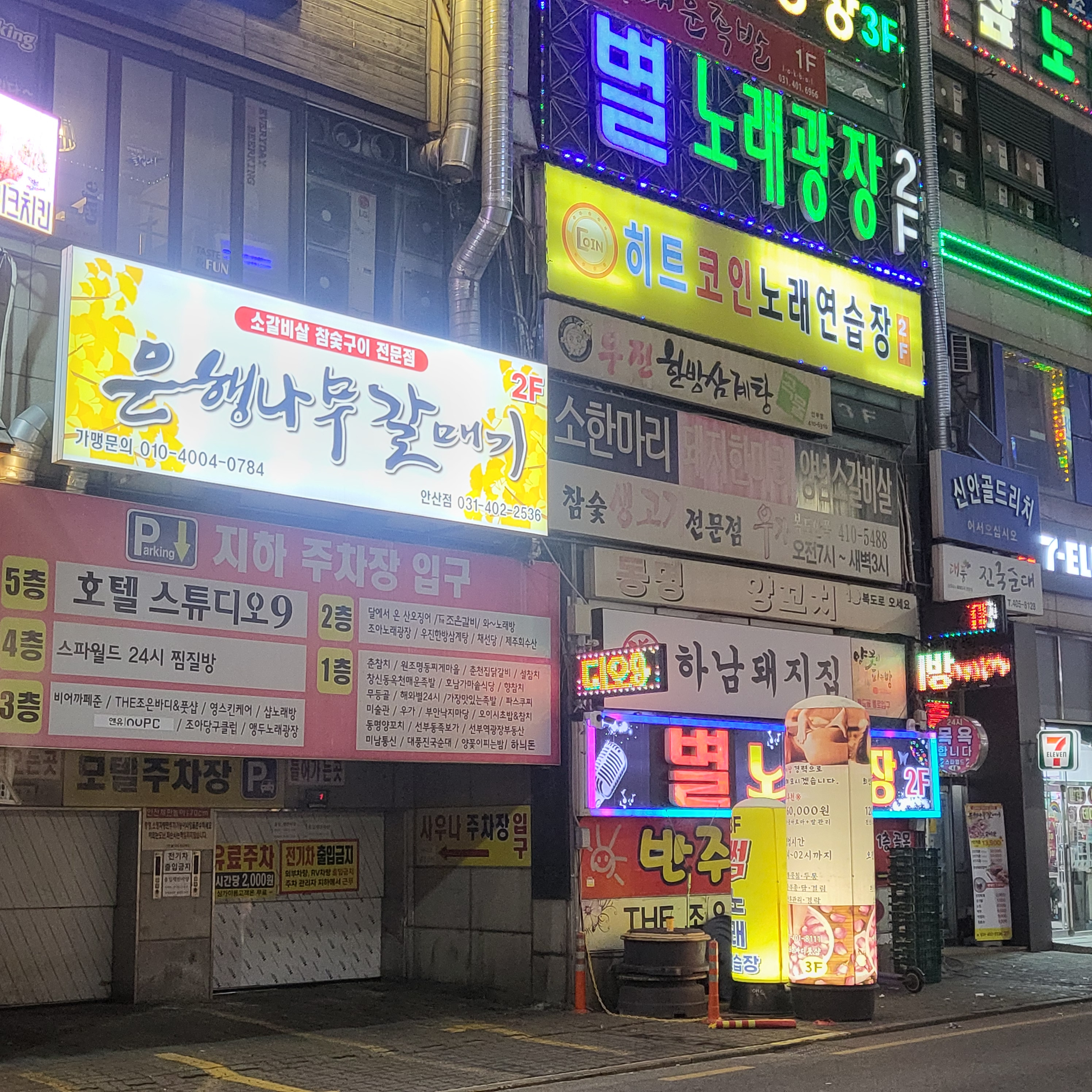 은행나무갈매기 안산점 사진 3